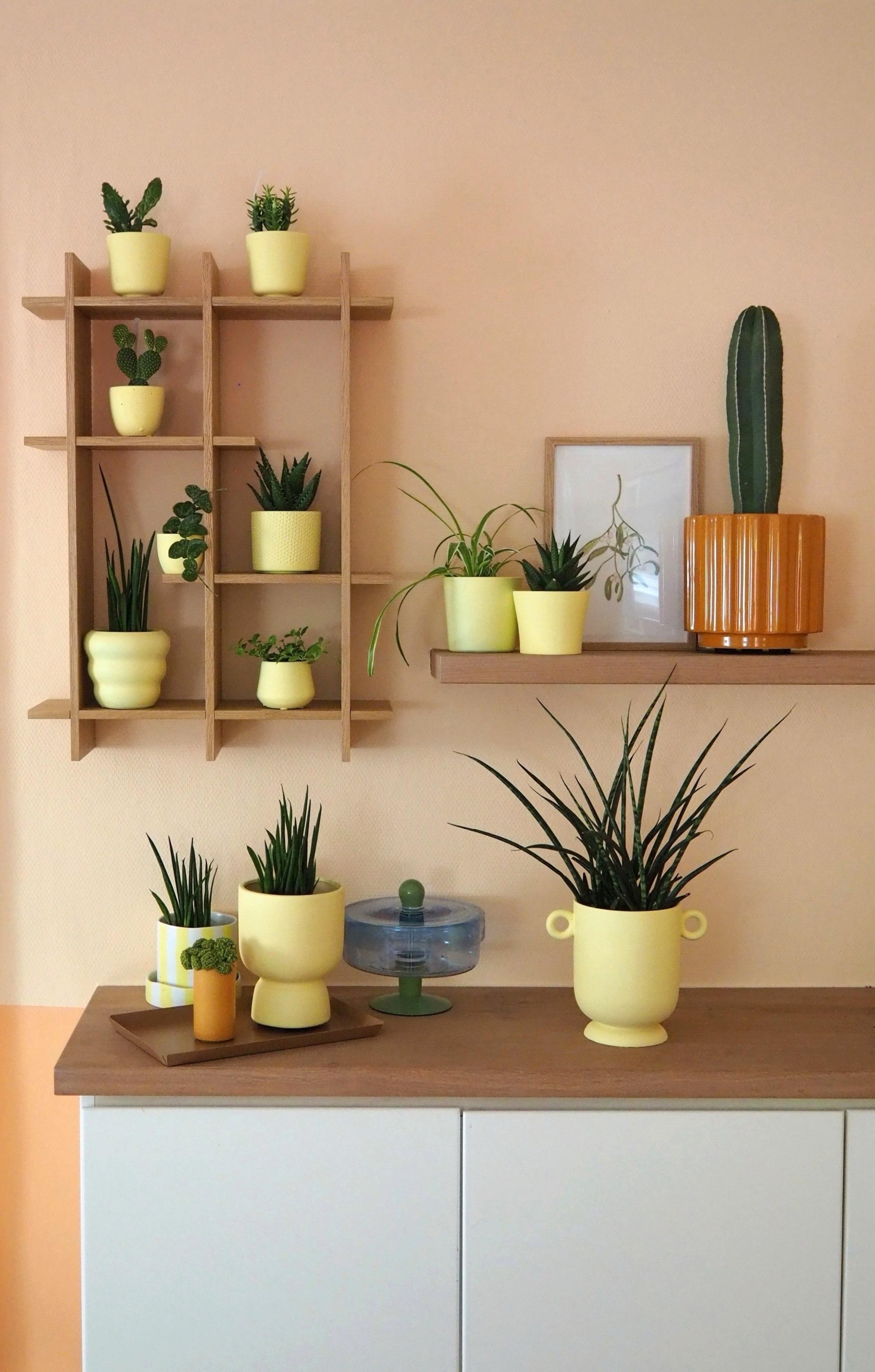#walldecor #plantwall #plantlover 
