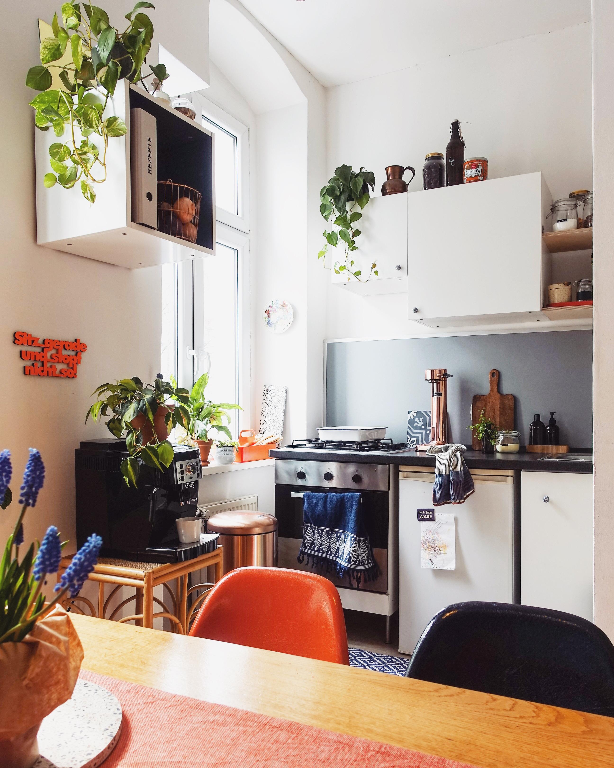 Wann kommt endlich die selbstkochende Küche auf den Markt? 
#kleineküche #küchenliebe #colorful #plantlover #interiors