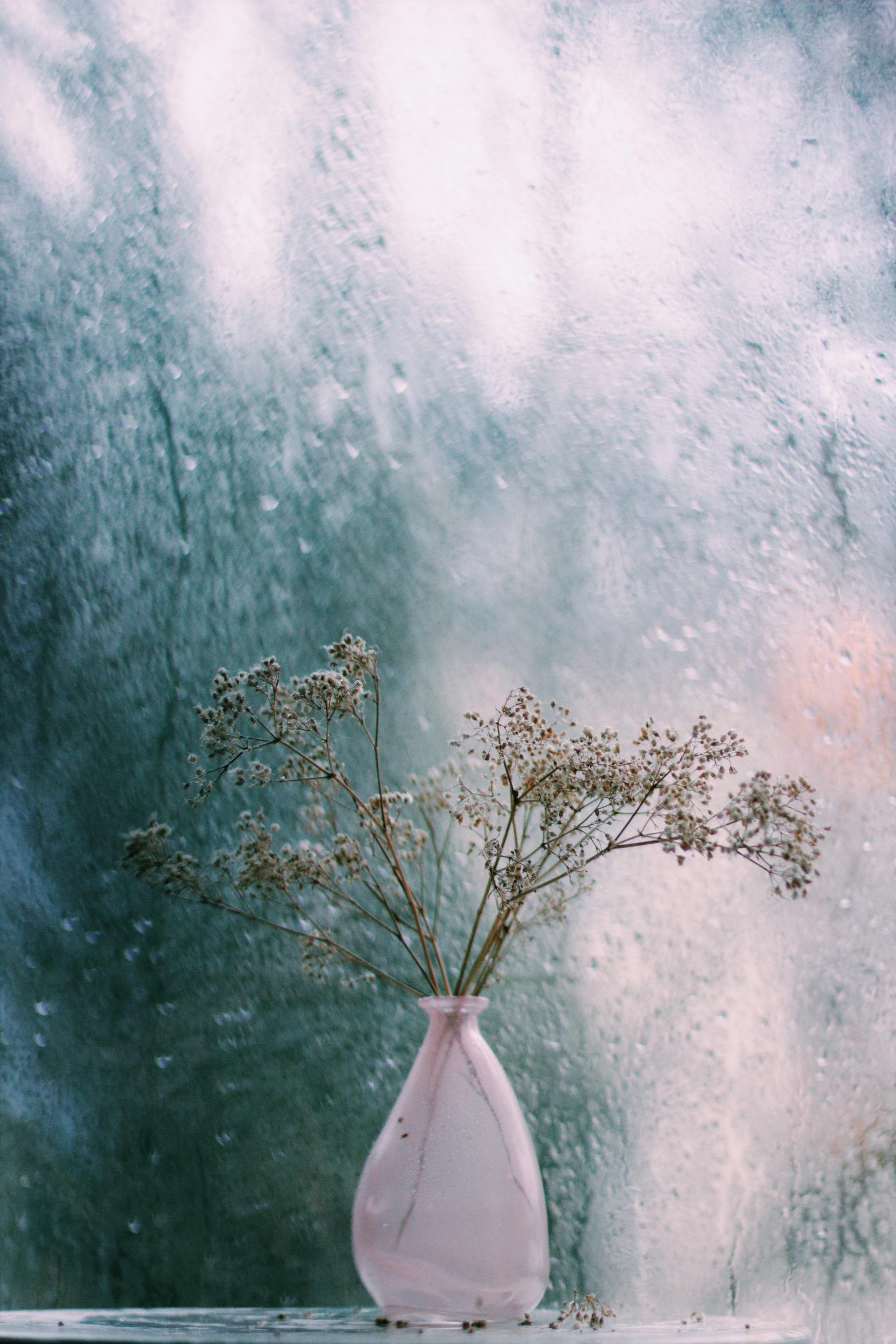 Warum ich den Regen liebe 💙🌦☔️
•
•
#couchliebt#deko#regen#vasen#home#blumen#licht