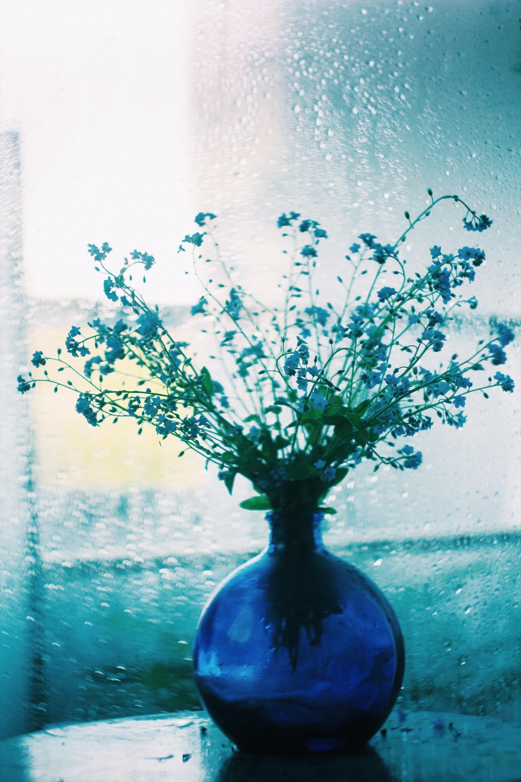 Warum ich den Regen liebe 💙 🌦☔️
#blumen#spring#couchliebt#home#deco#vase#regen#frühling#april