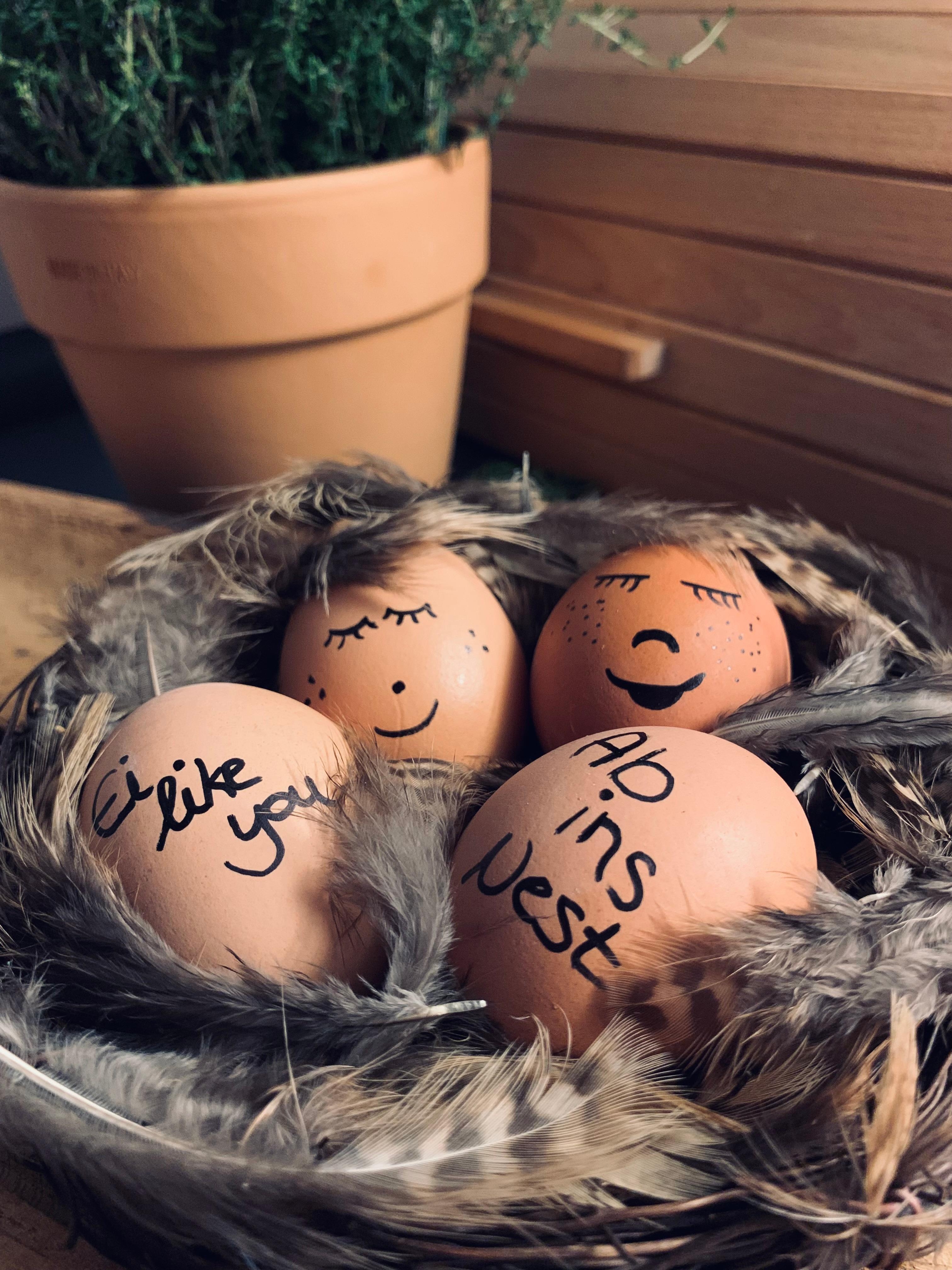 Was macht ein Ei, bevor es den Osterhasen trifft?
SICH IN SCHALE WERFEN.🐰

#ostern #diy #eier #nest #food #küche 