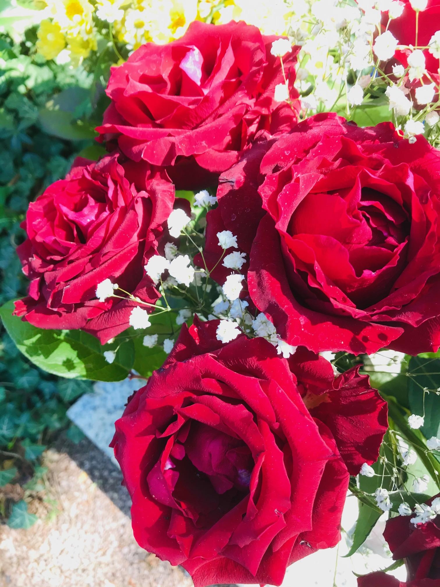 Was wäre die Welt nur ohne Rosen.....
#blumenliebe