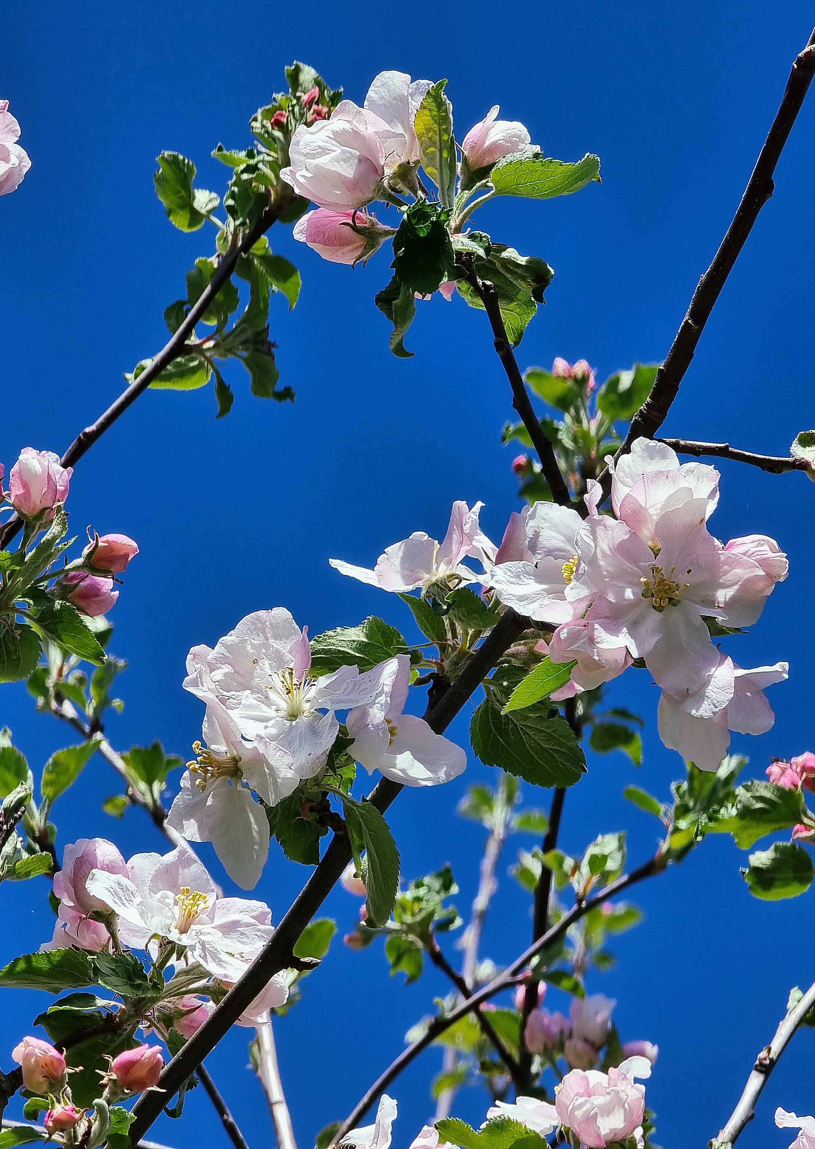 Was war das ein schöner Start in den #mai ☀️ #blütenpracht #natur #blumen #outdoor #frühling #farbenliebe 