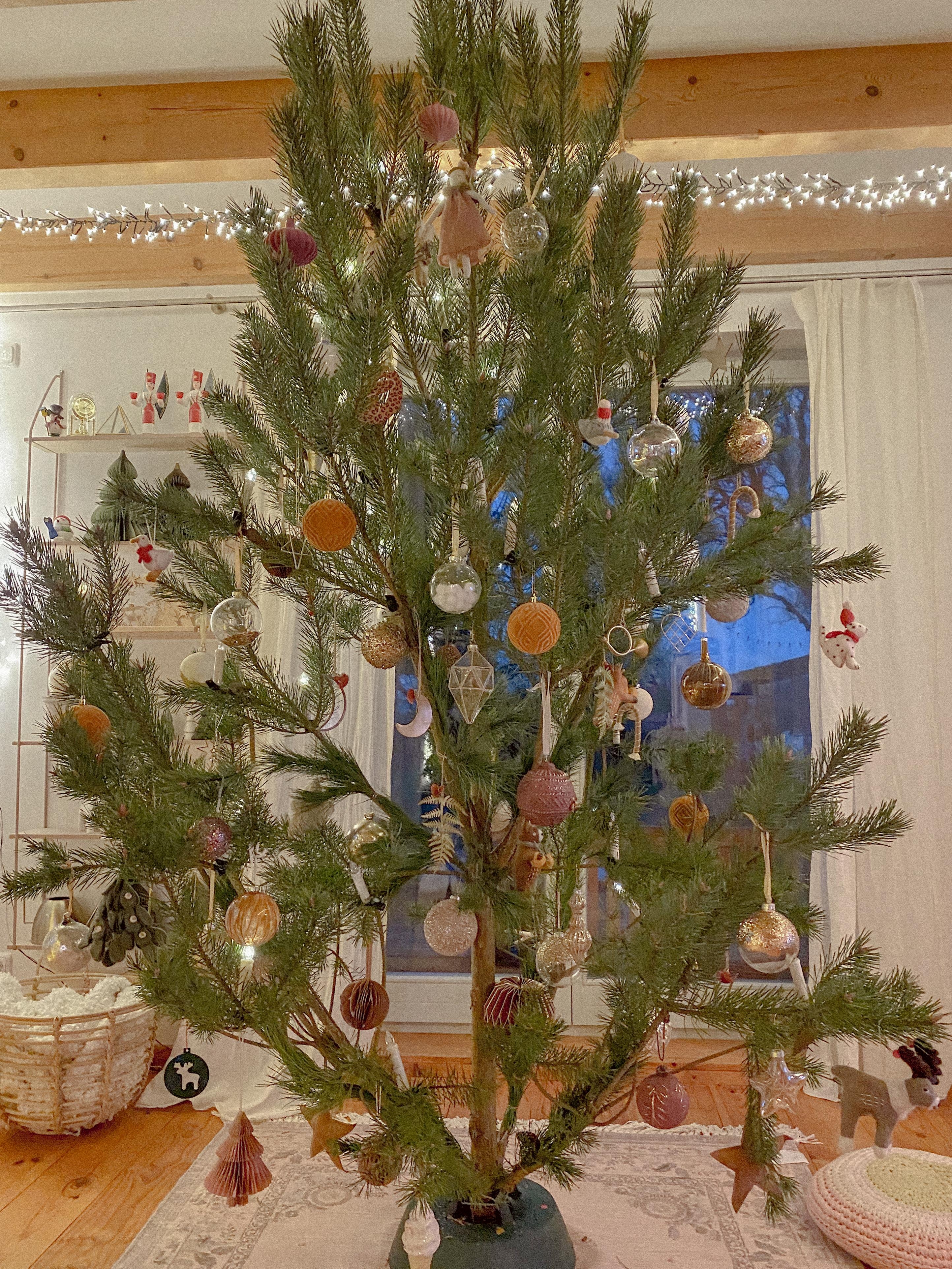 #weihnachten bei uns lieber mit #kiefer. Teil 2. #weihnachtsbaum #couchstyle