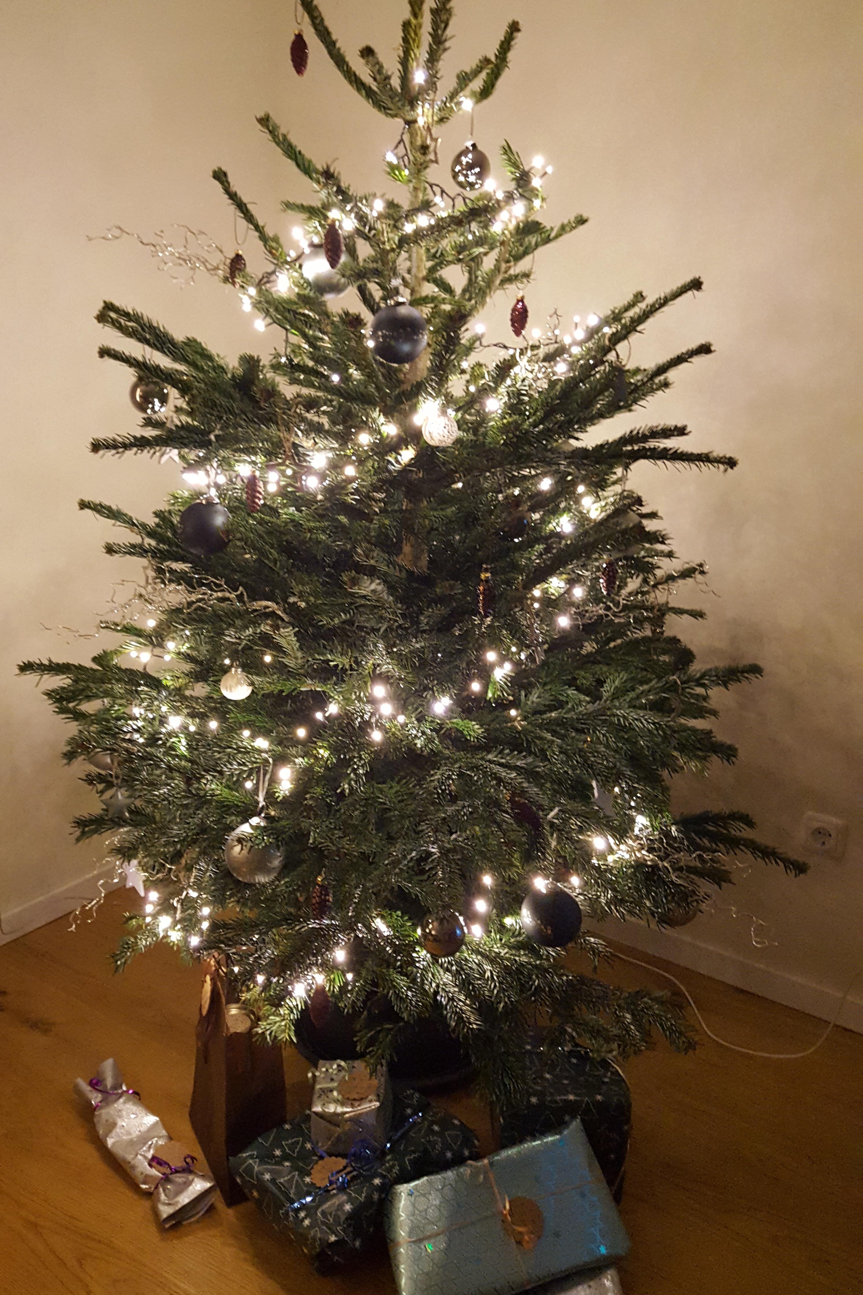 Weihnachten kann kommen! #tannenbaum #christmastree #weihnachten 