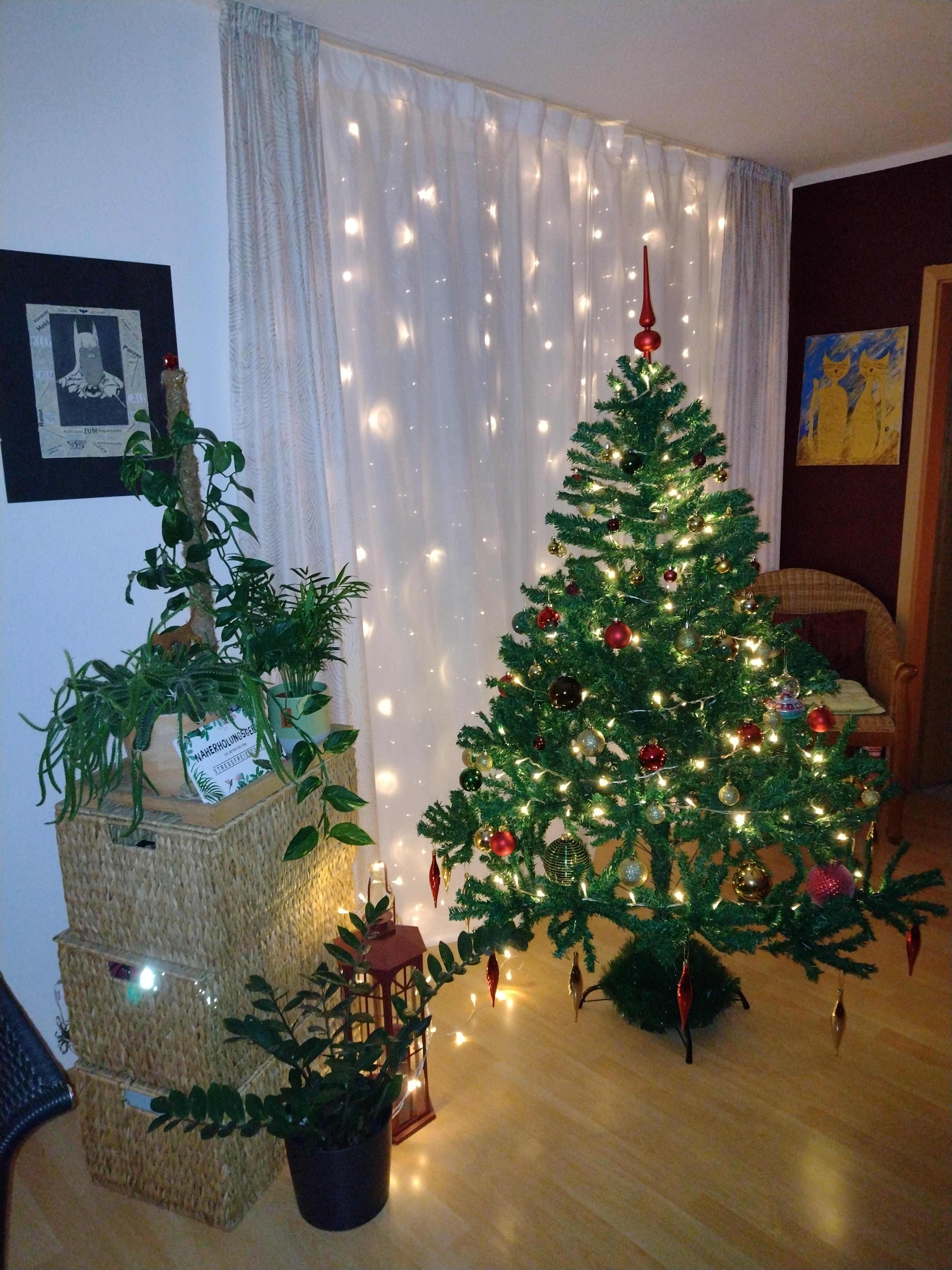 #weihnachten #weihnachtsbaum #wohnzimmer #lichter #lichterkete #pflanzen