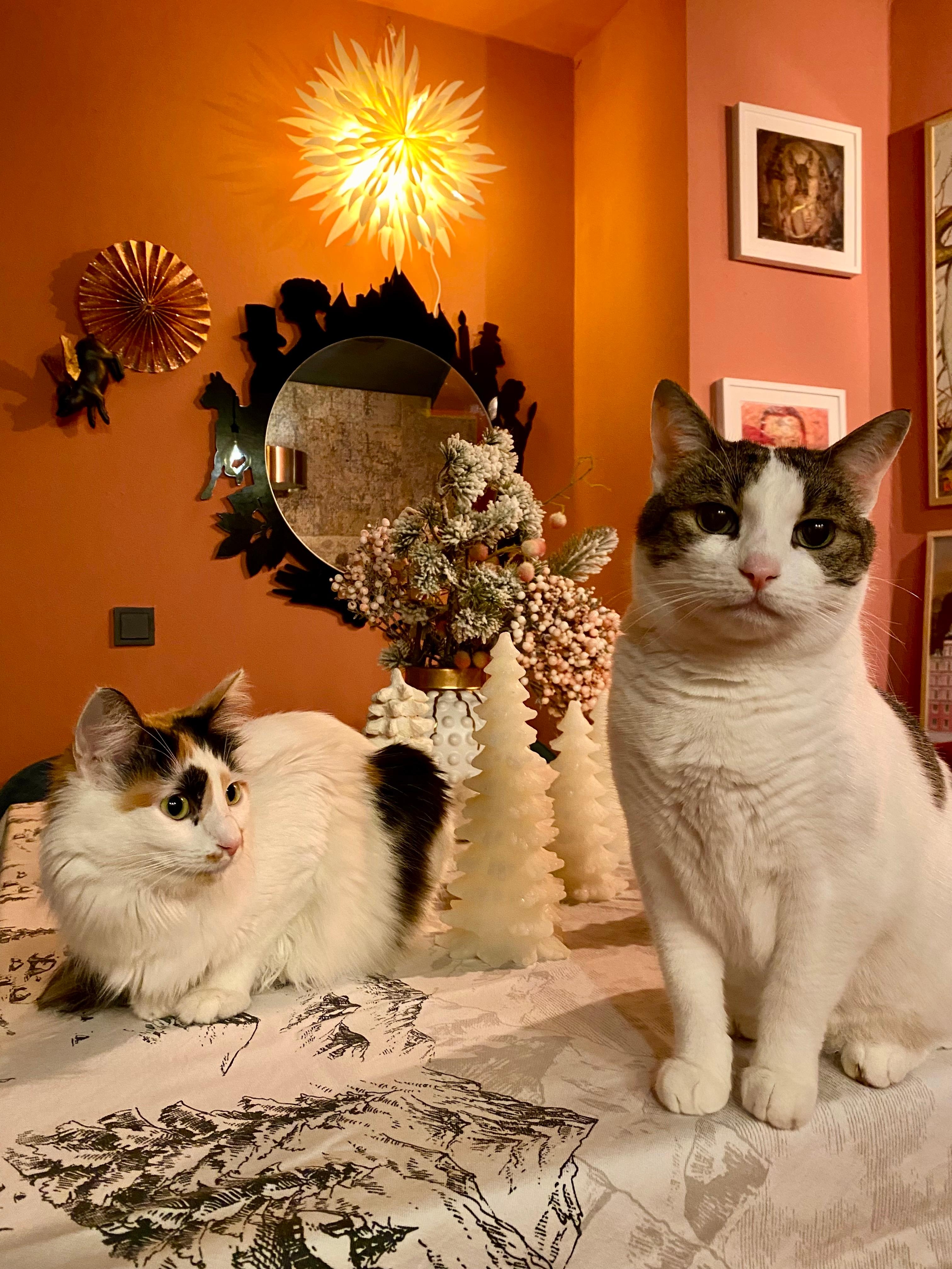 Weihnachtliche Tischdeko mit lebensechten Katzenfiguren 
#weihnachtsdeko #küche #advent