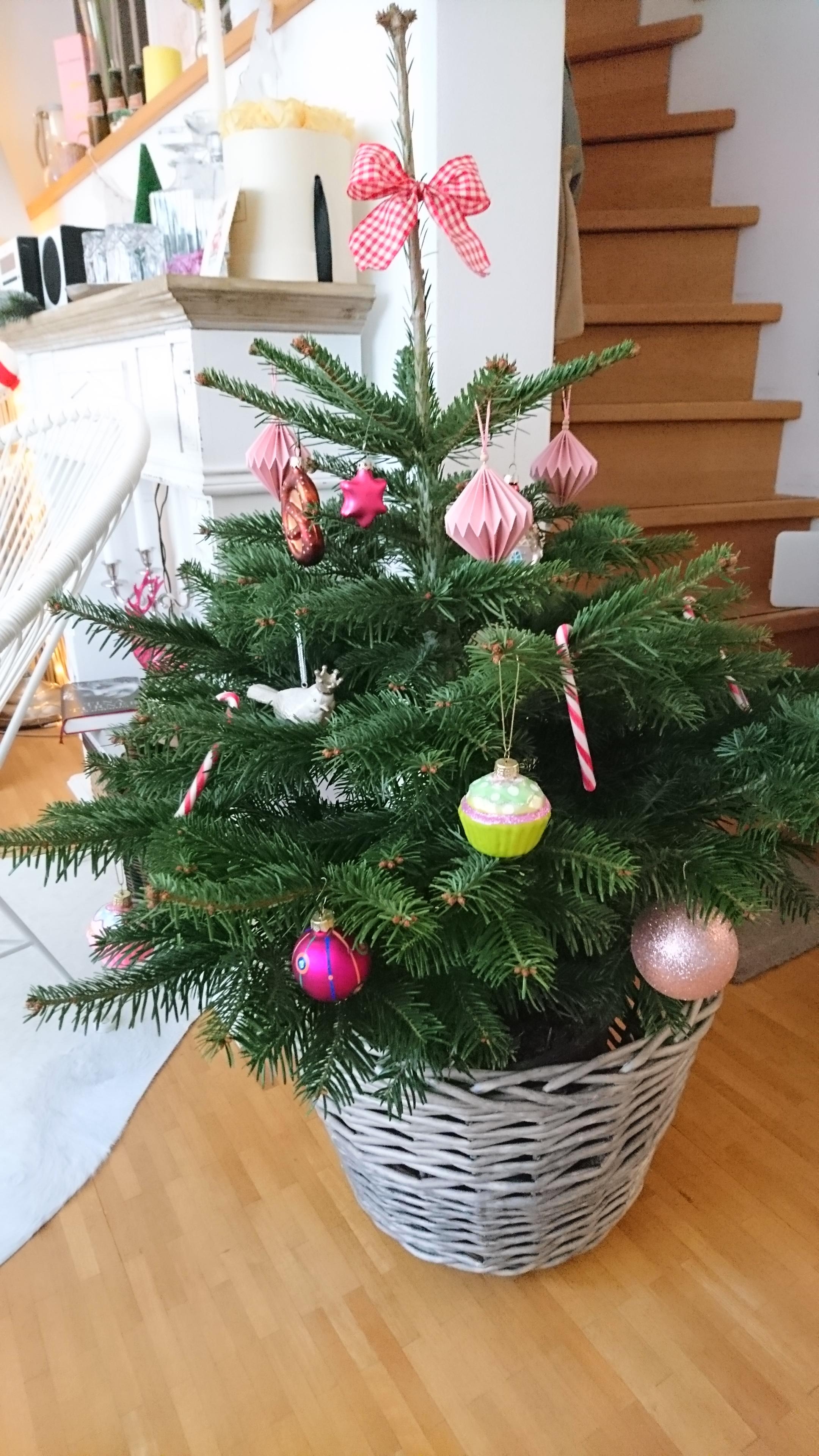 Weihnachts- Bäumchen mit Breze🎄

#Weihnachtsbaum #Christbaum #Tannenbaum #Tanne #xmas #Advent #xmasdeko #Weihnachtsdeko