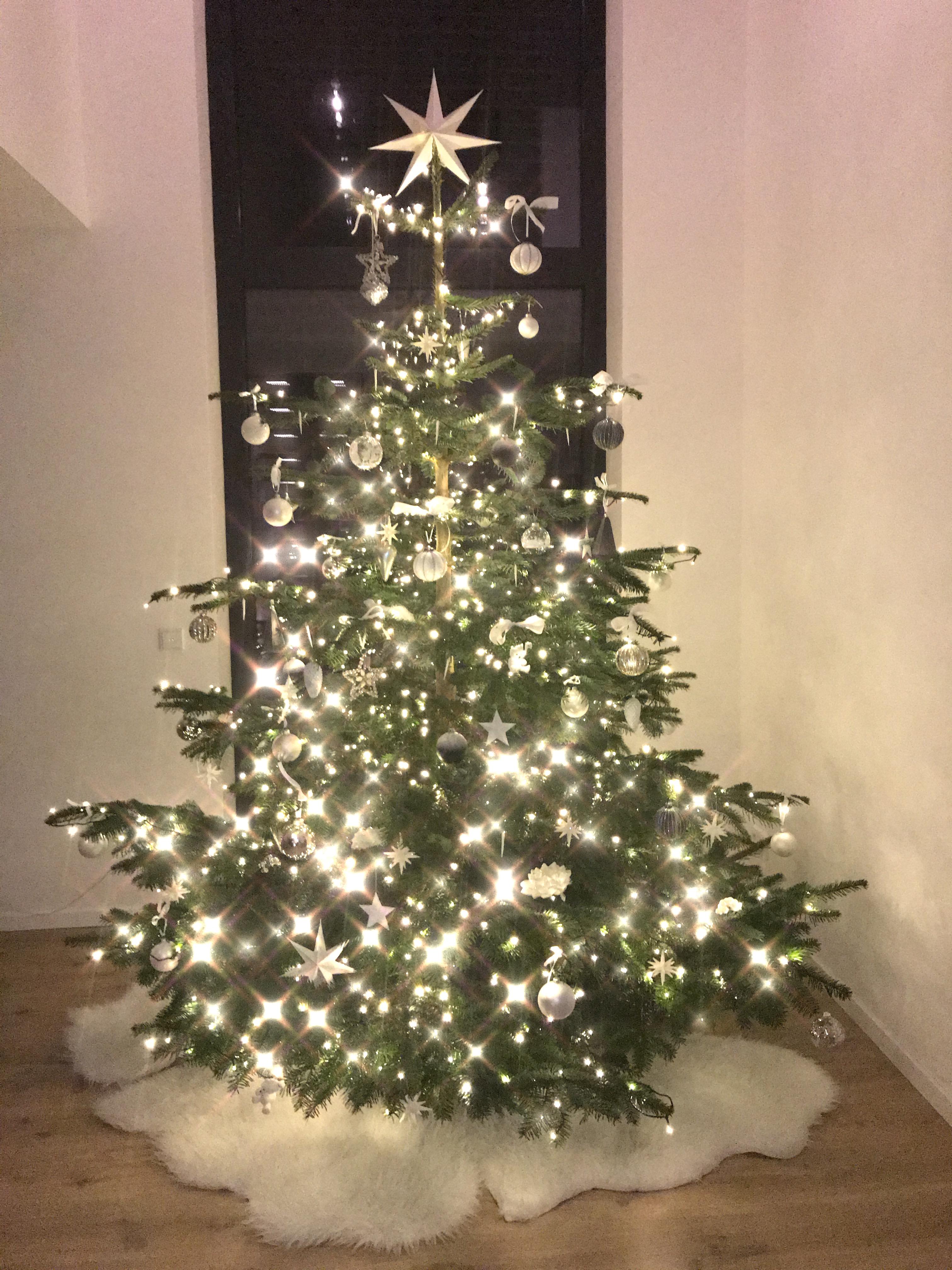 Weihnachtsbaum 2017 
#weihnachtsbaum #christbaum #xmas #weihnachten