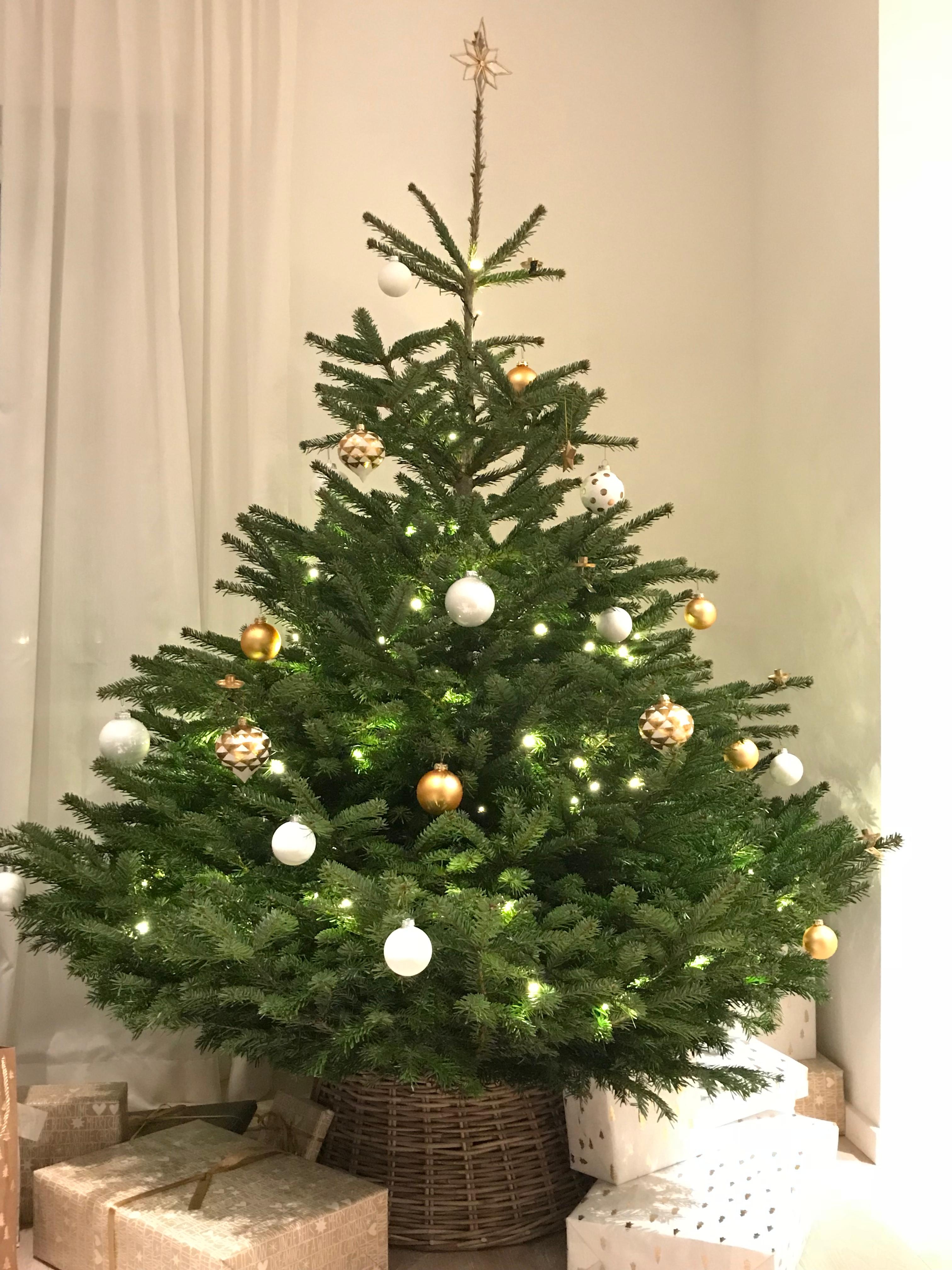 #weihnachtsbaum #allejahrewieder #adventsdeko