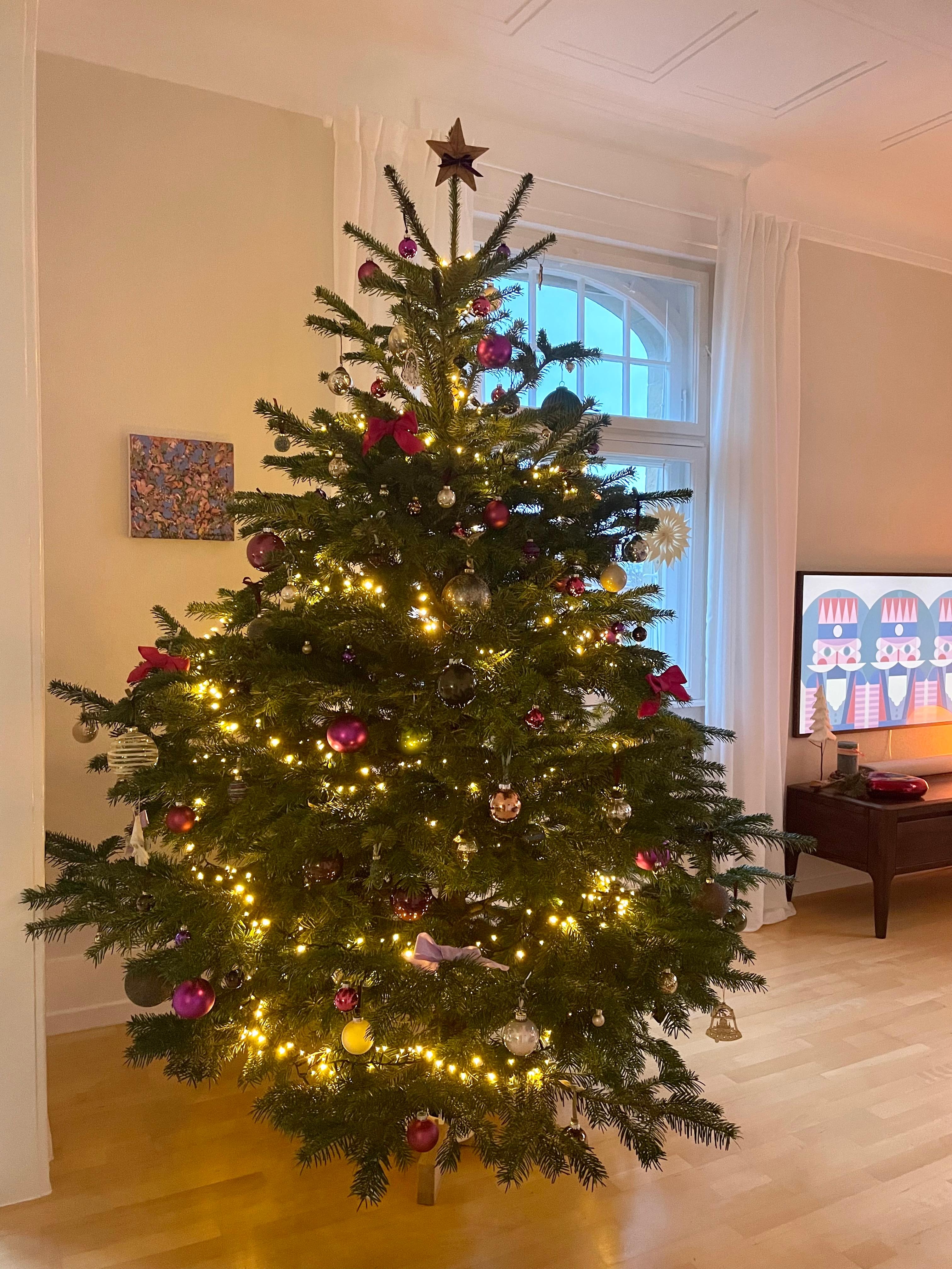 #weihnachtsbaum #christbaum #tannenbaum #froheweihnachten #altbau #altbauliebe