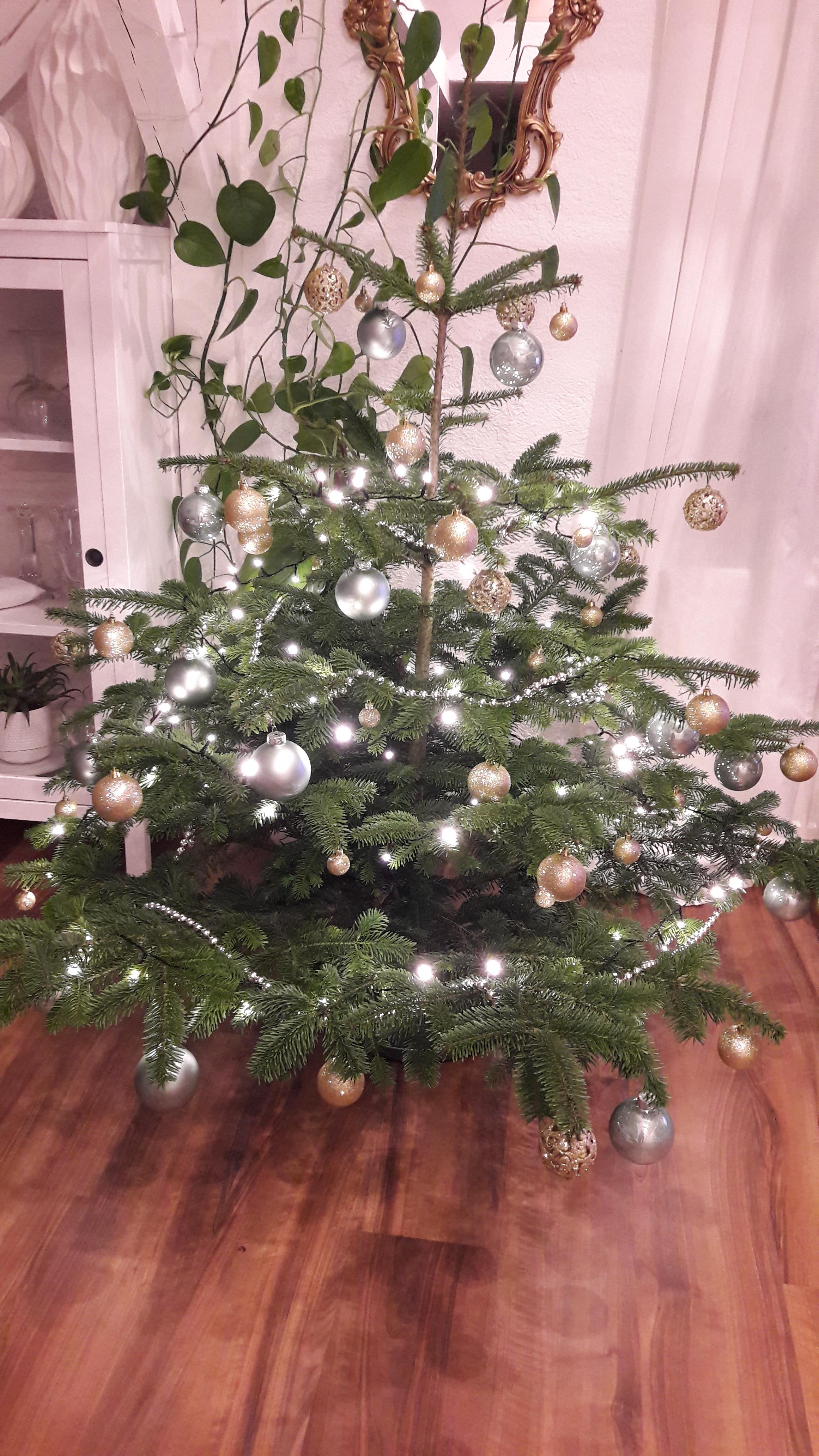 #Weihnachtsbaum #Gold #Glitzer #Freude 