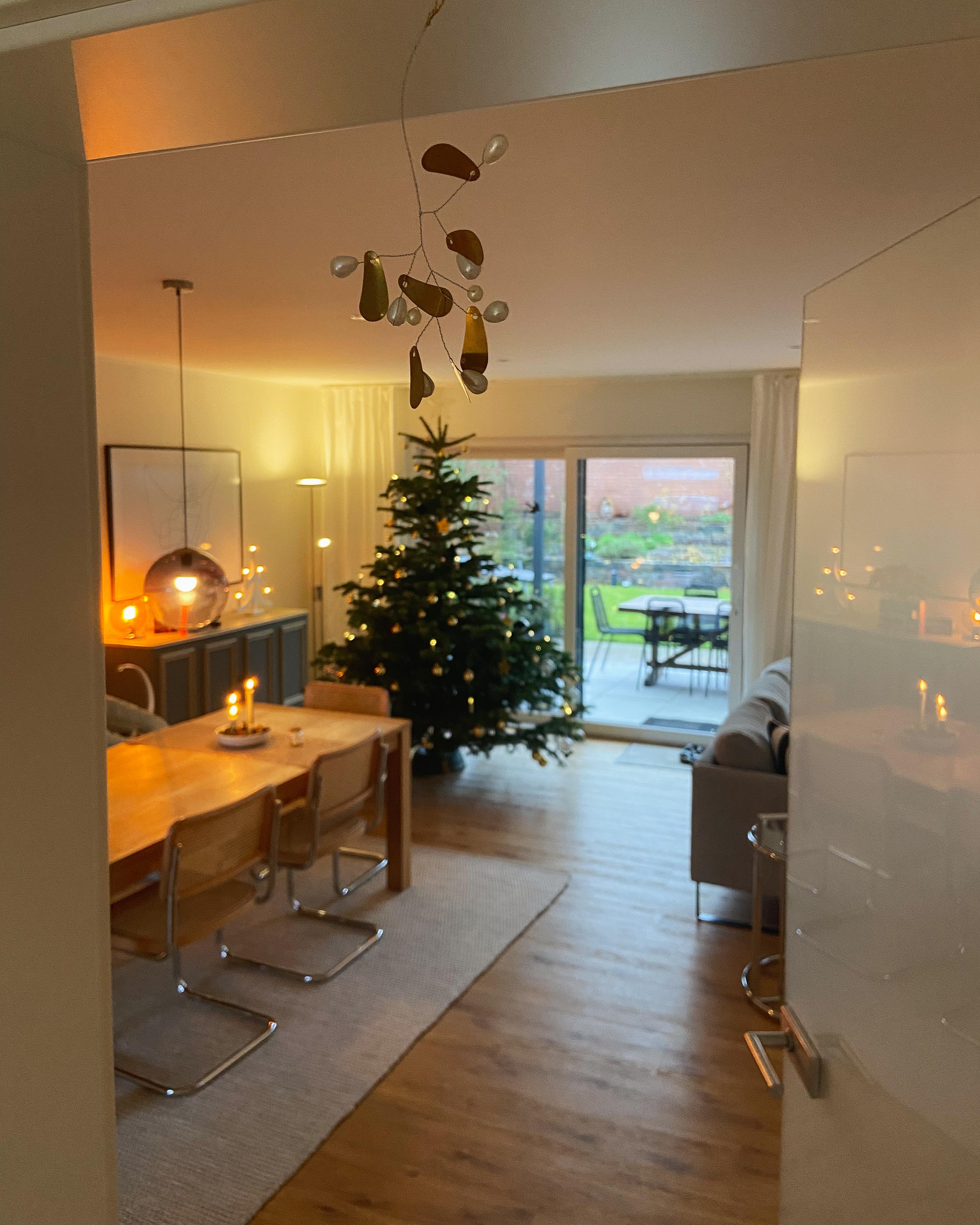 #weihnachtsbaum #mistelzweig #dezember #minimalismus