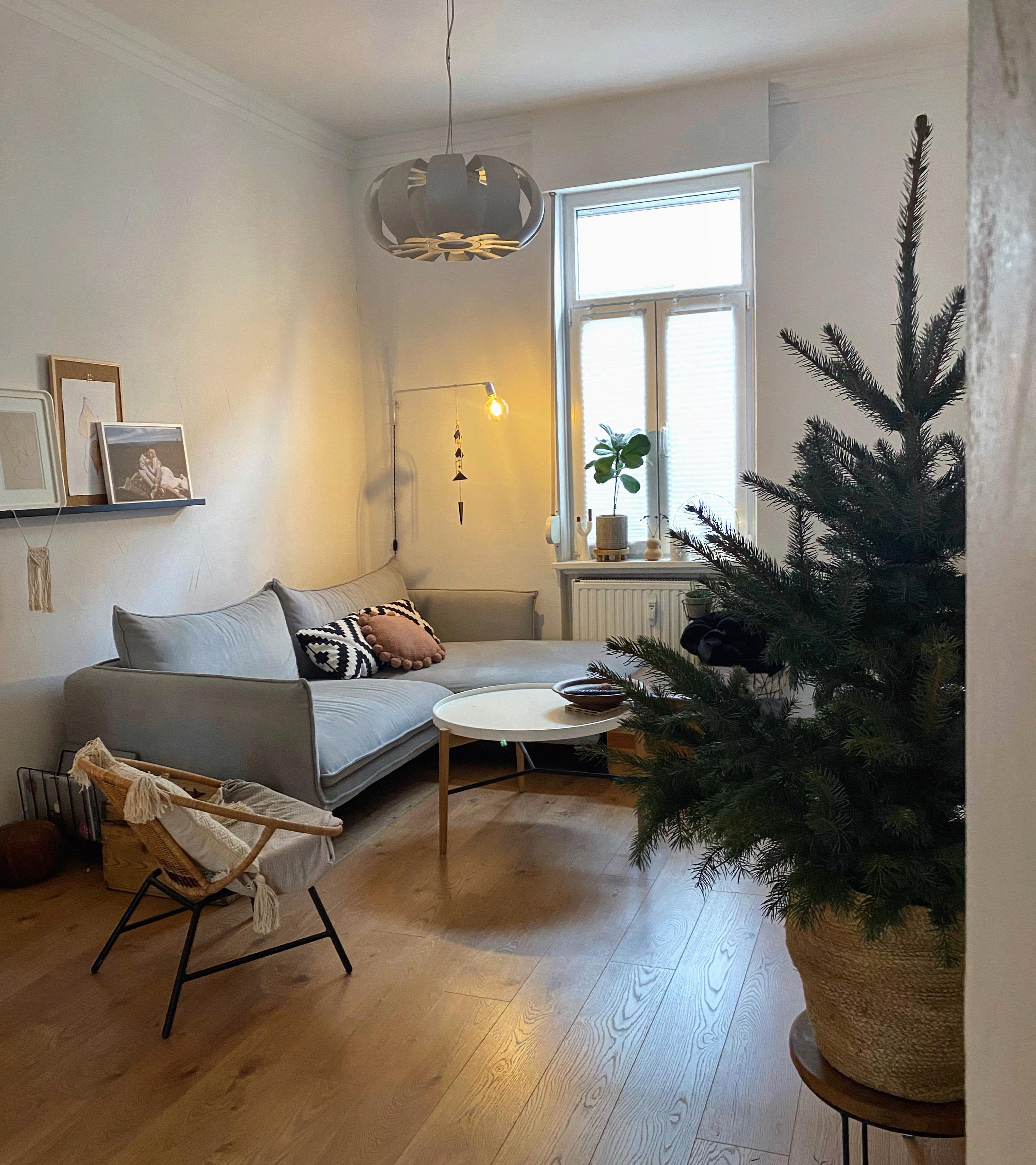 #weihnachtsbaum #tannenbaum #christmastree #weihnachtsdeko #weihnachten #couchmagazin #couchstyle