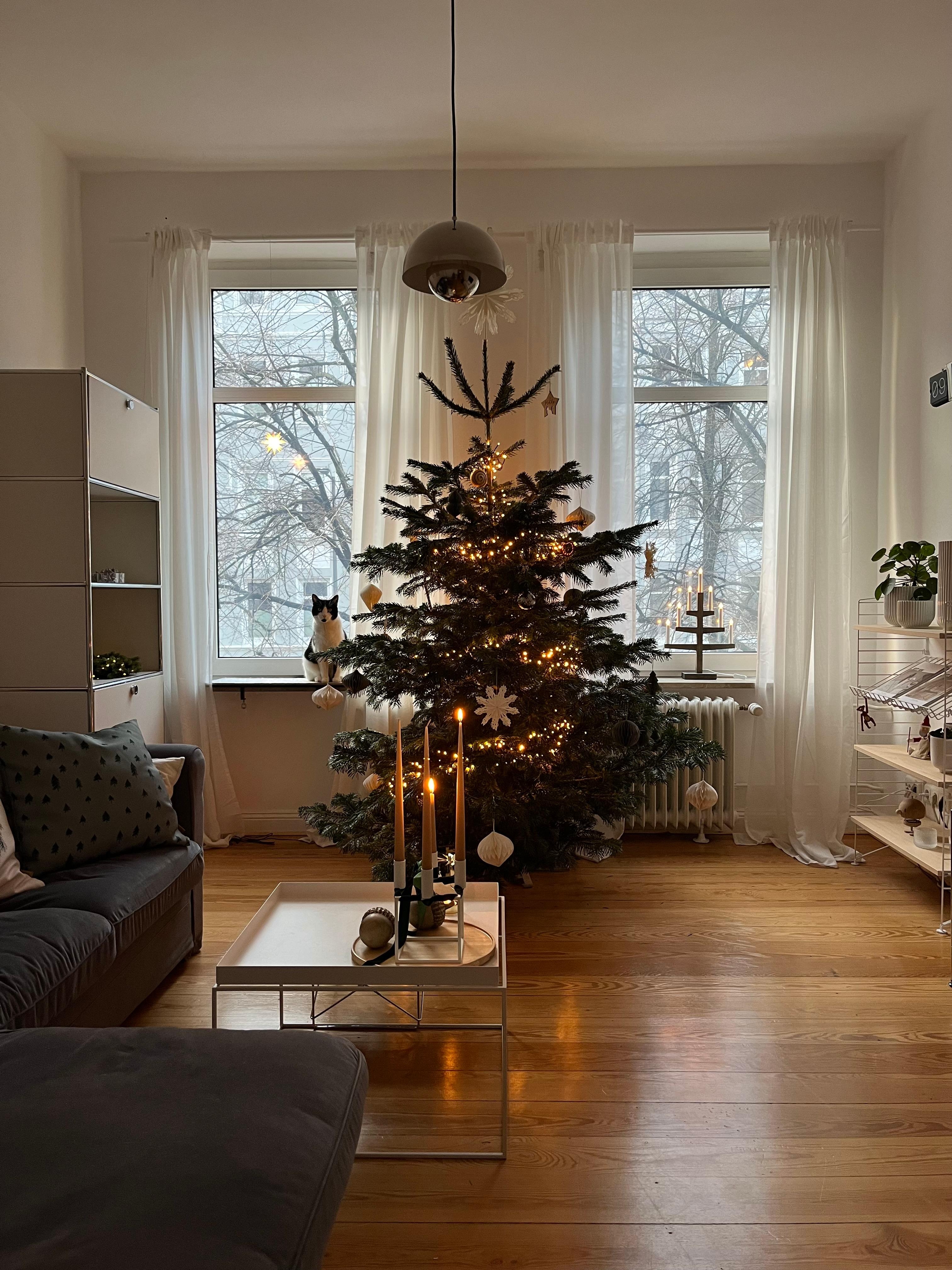 #weihnachtsbaum #weihnachtsdeko #altbauliebe #cozyvibes #zweiteradvent 