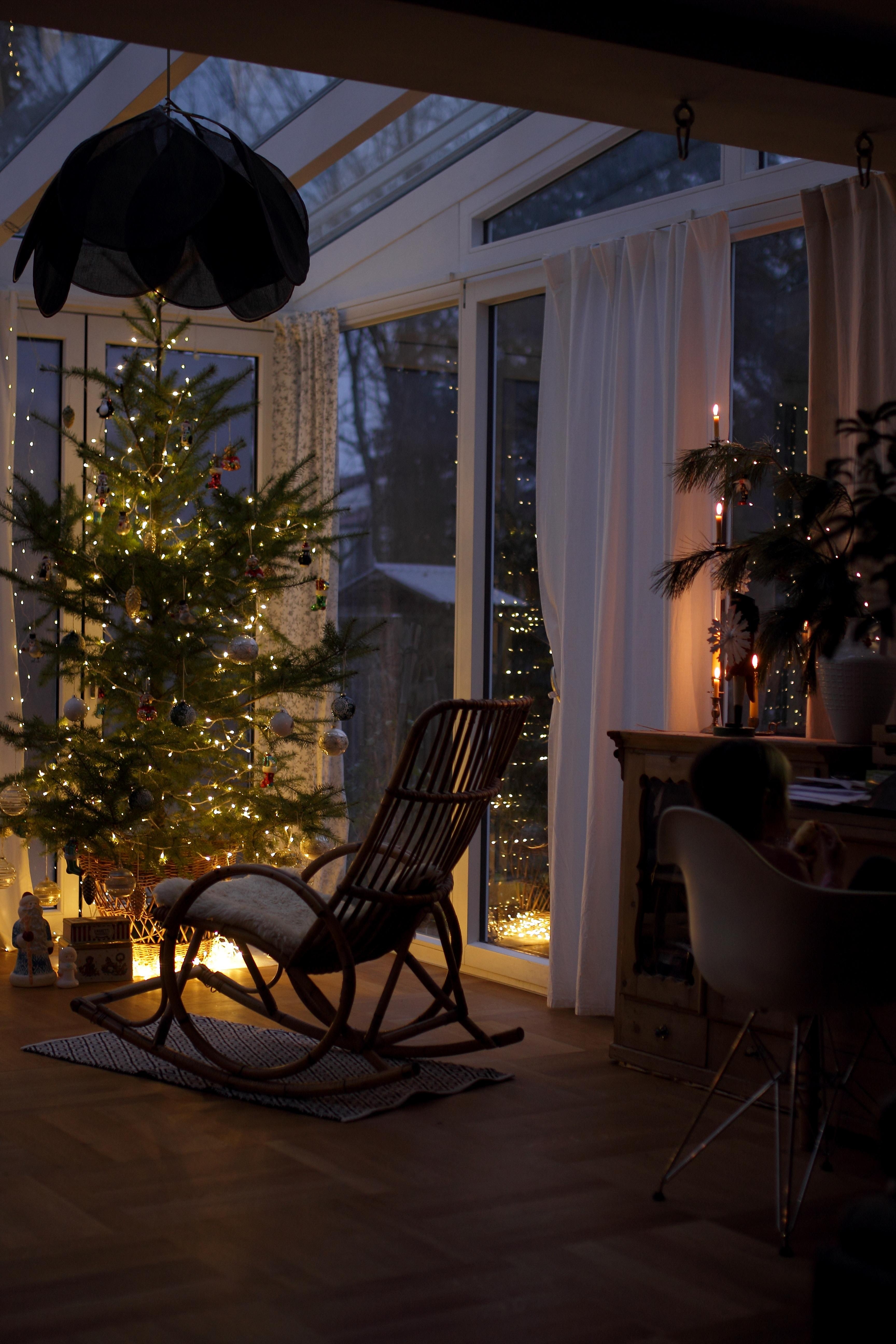 #Weihnachtsbaum #Wintergarten