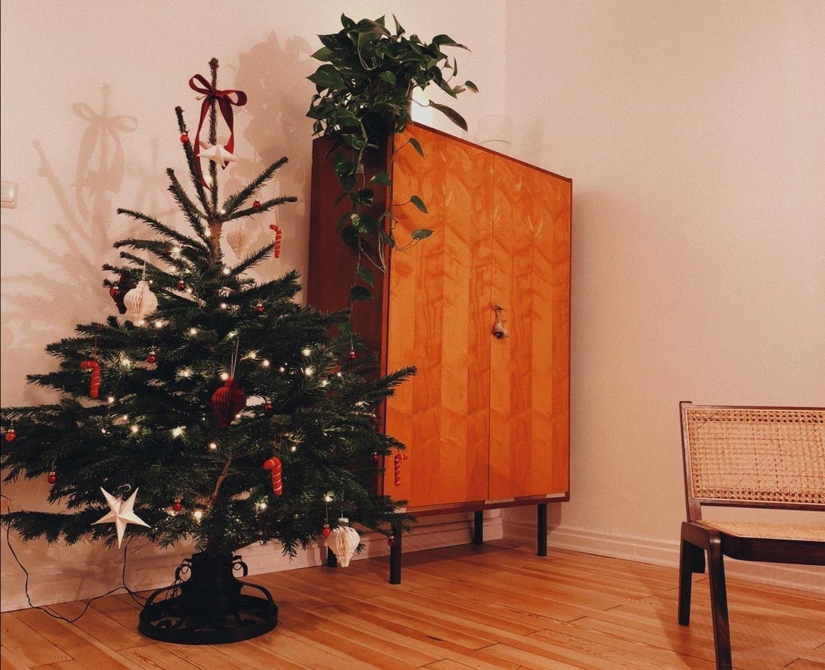 #weihnachtsbaum wir haben ihn nach italienischer Tradition schon seit dem 1. Dez stehen und wann stellt ihr ihn auf? 🌲