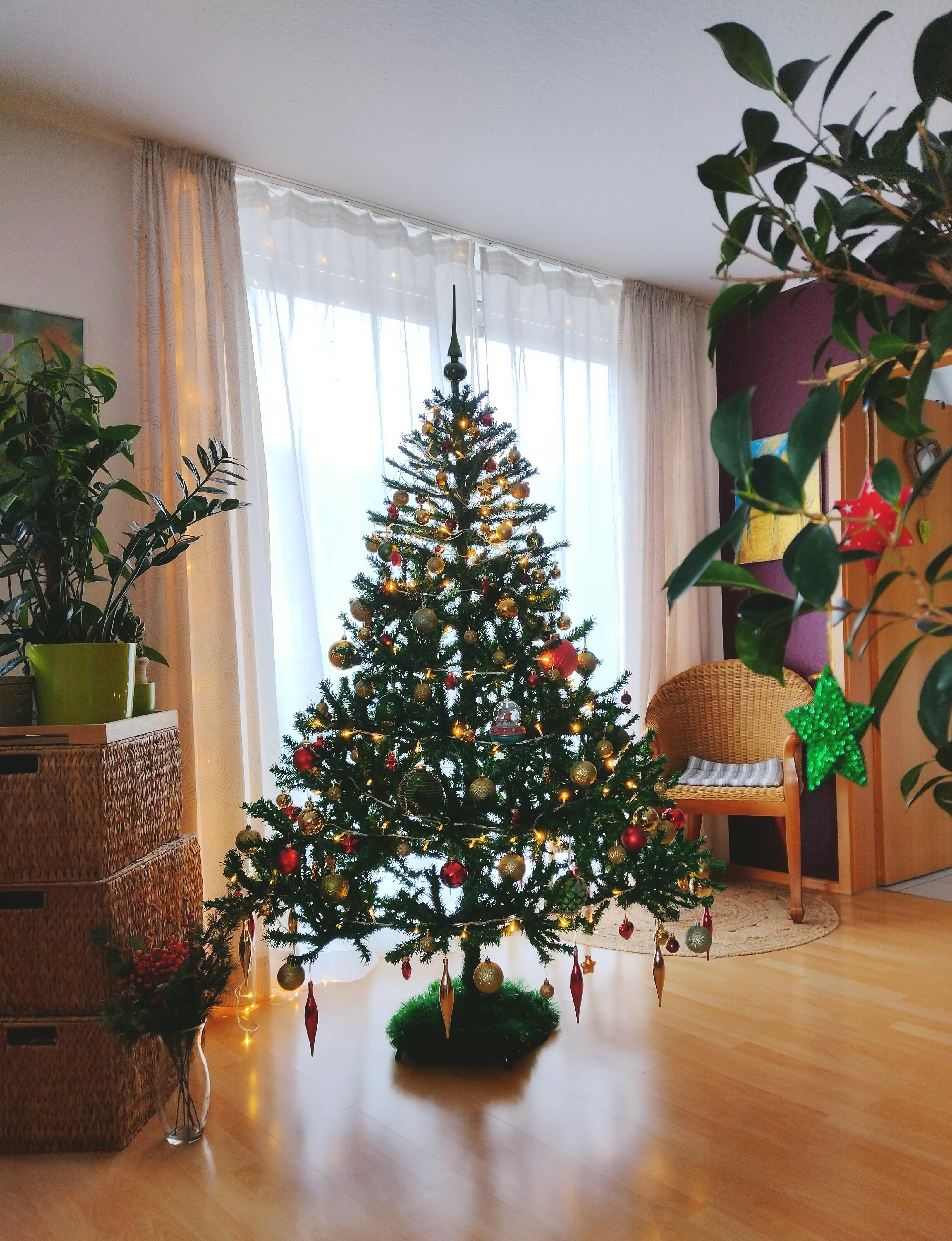 #weihnachtsbaum #wohnzimmer #tannenbaum