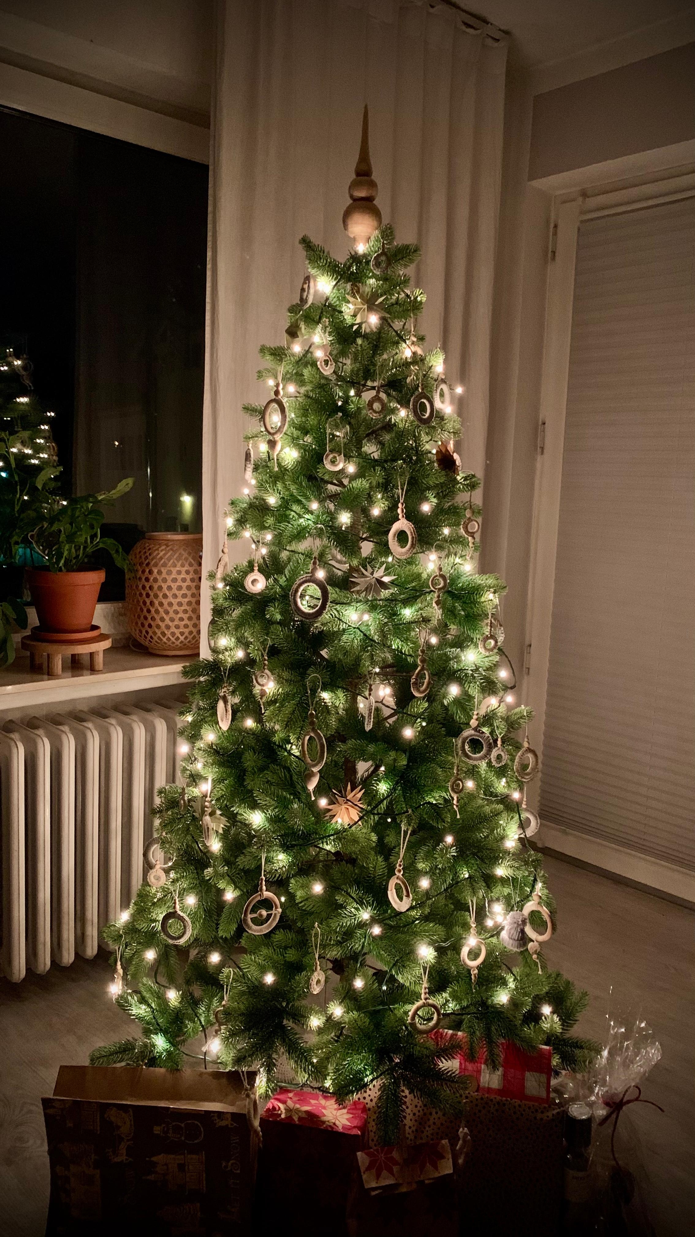 #Weihnachtsbaum 