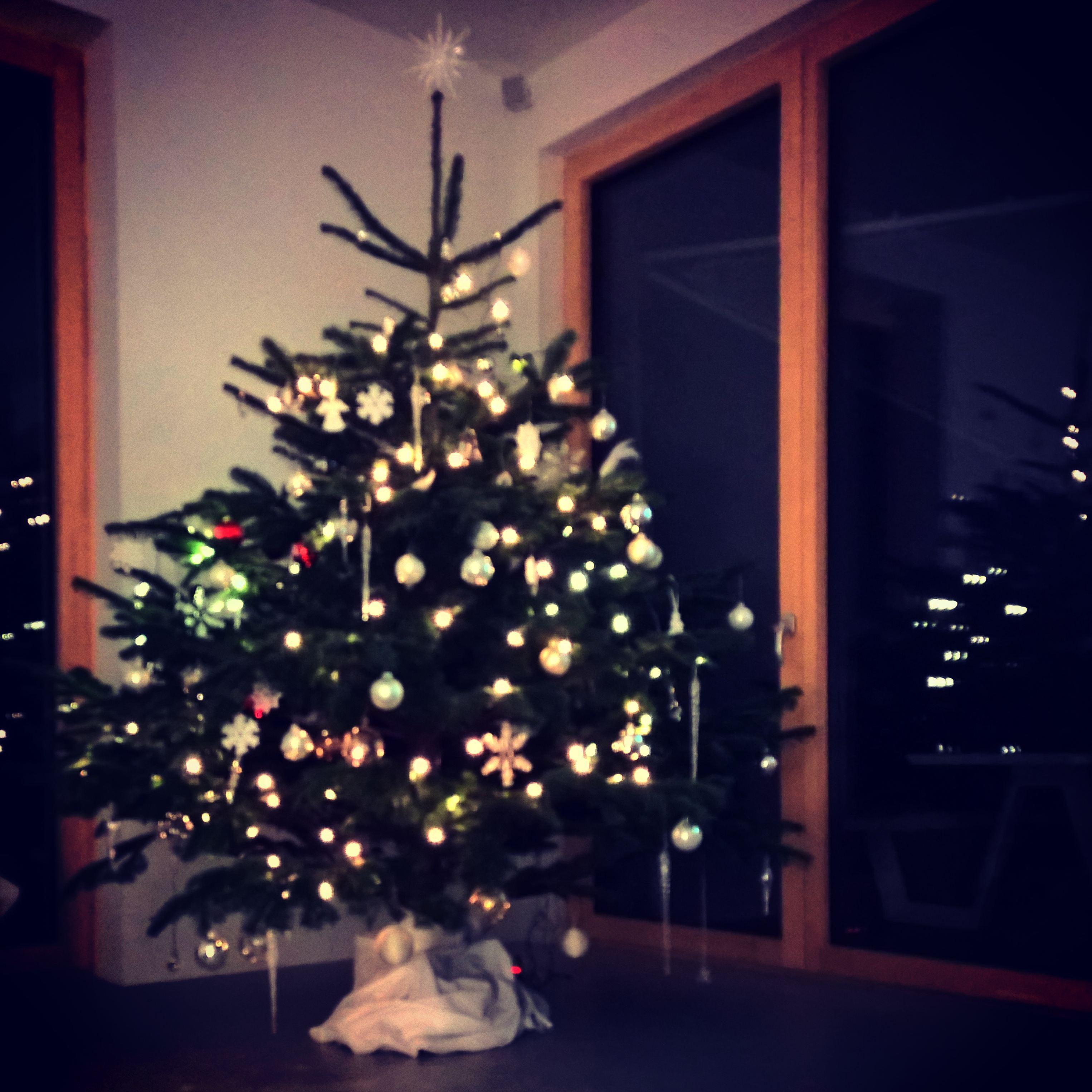 #Weihnachtsbaum 