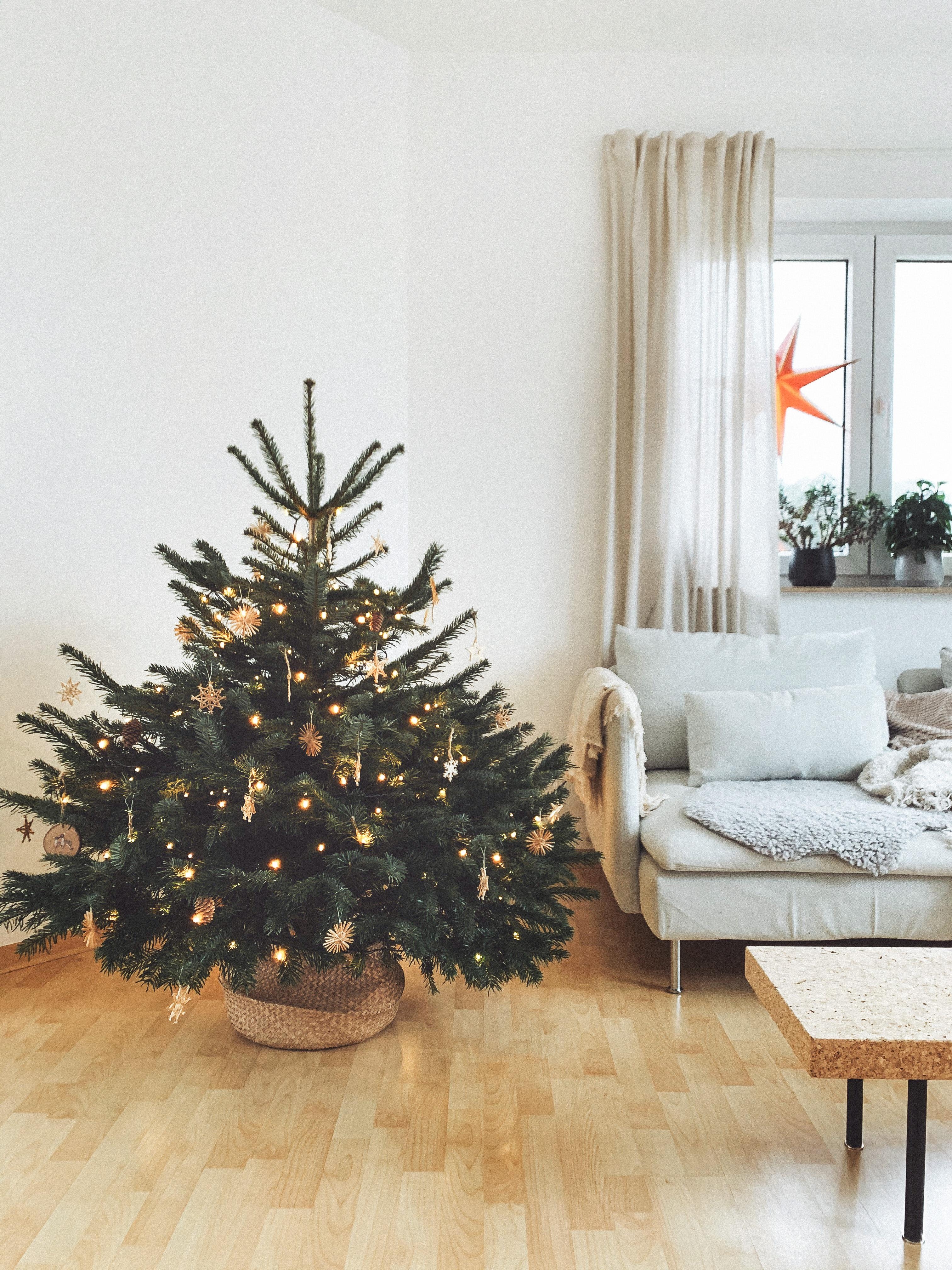 Weihnachtsbaumliebe. 🌲 #weihnachten #weihnachtsbaum #wohnzimmer #home #interior #couch #ikea #sinnerlig #söderhamn
