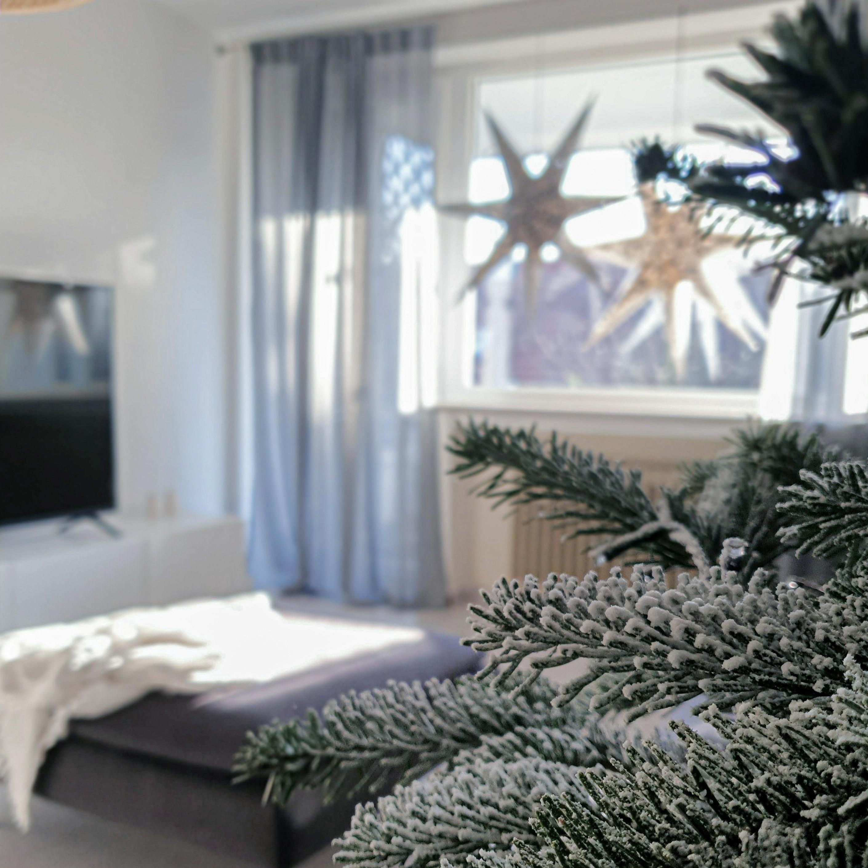 #weihnachtsdeko #weihnachten #leuchtstern #wohnzimmer #livingroom #minimalistischwohnen #fensterblick #livingroom