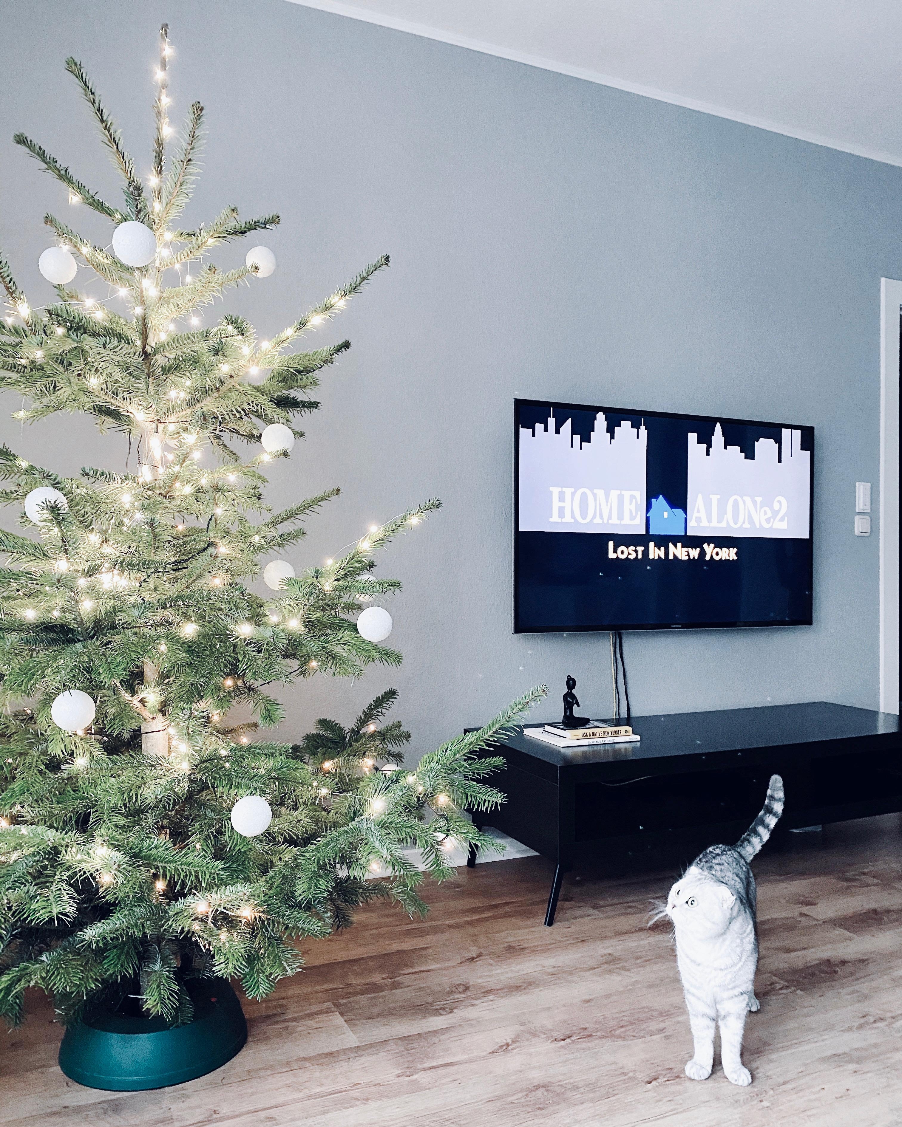 Weihnachtsmodus aktiviert 🎄
#weihnachtsbaum #xmas #interior #kevinalleininnewyork #nordicroom #hygge #catlover 
