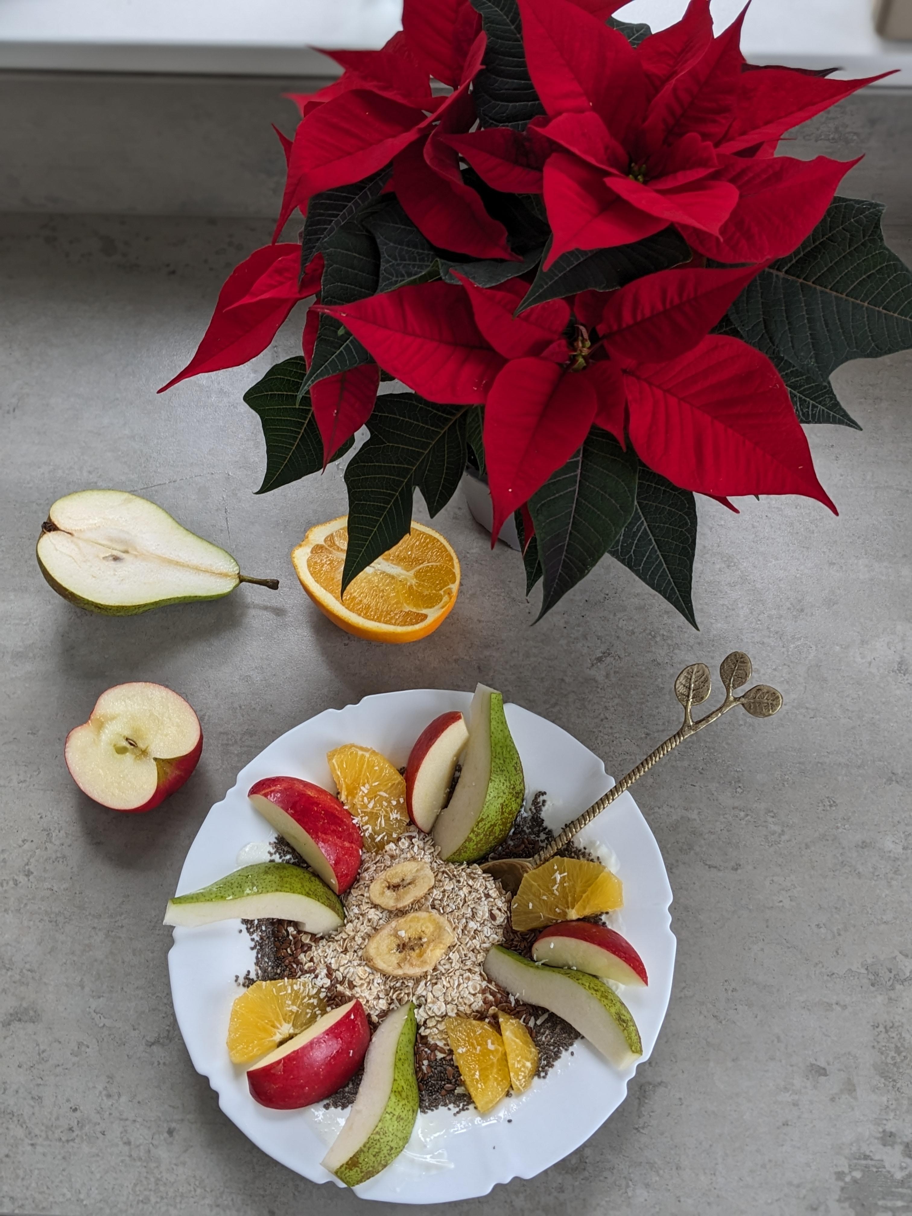 Weihnachtsstern und Vitamin-Frühstück 🎄🌺🍐🍊



#weihnachtsstern #weihnachten #frühstuck #pflanze #blume #deko #gartencenter #brunch