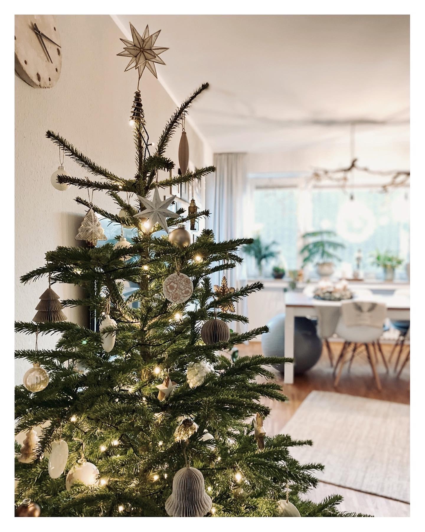 #Weihnachtszeit #Tannenbaum #hygge alle Jahre wieder steht er da und verbreitet Christmasvibes 🤍