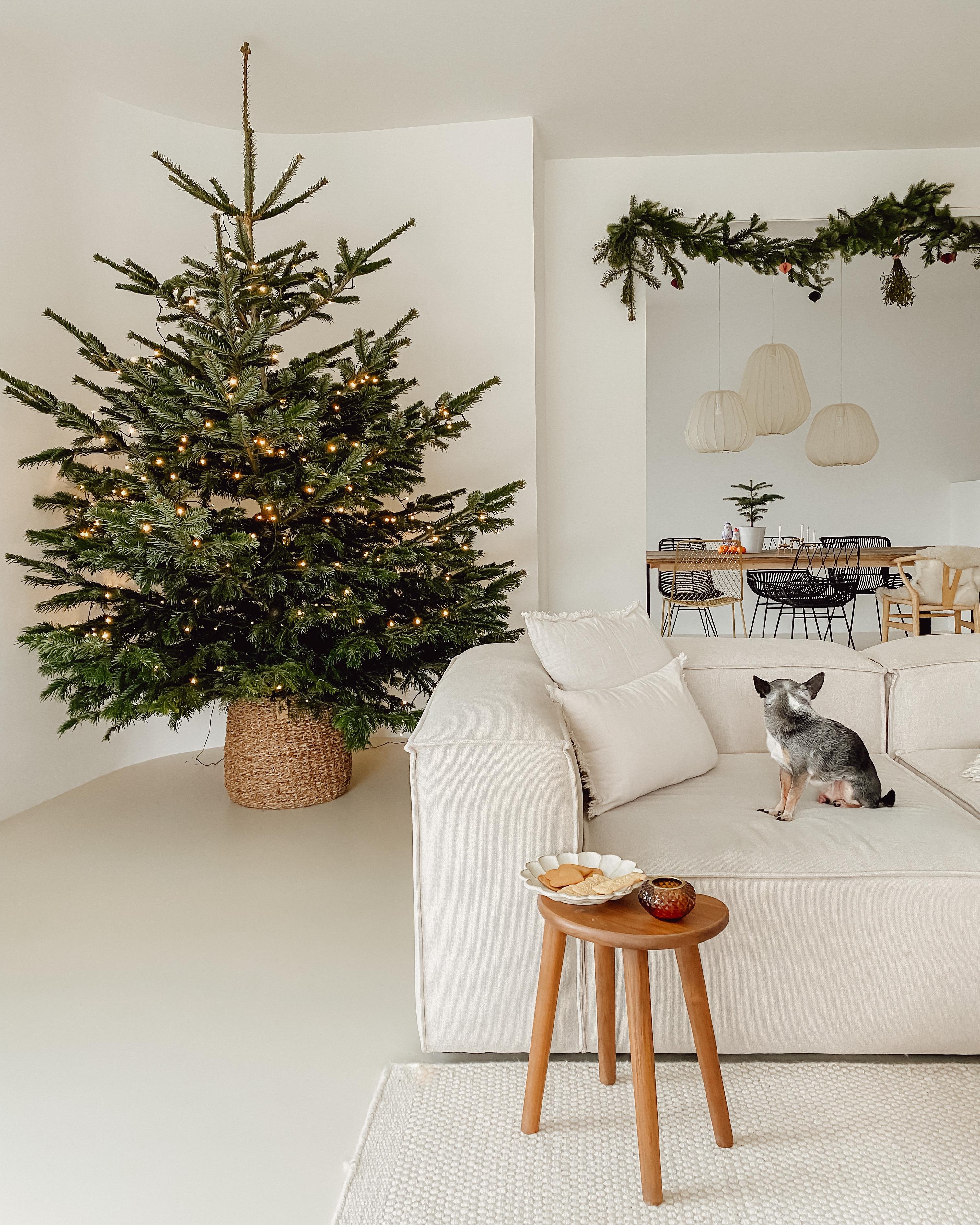 #weihnachtszeit #weihnachtsdeko #weihnachtsbaum #christmastree 
#wohnzimmer #beige #korb #skandi #couchliebt #clean