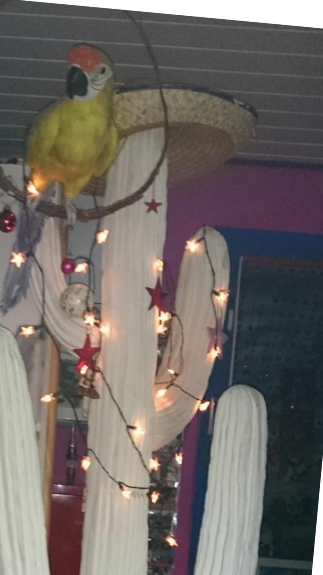 Weil das Foto vor einem Jahr, nachdem meine Wohnung komplett ausgebebnannt nach einem Feuer 
noch war! 
