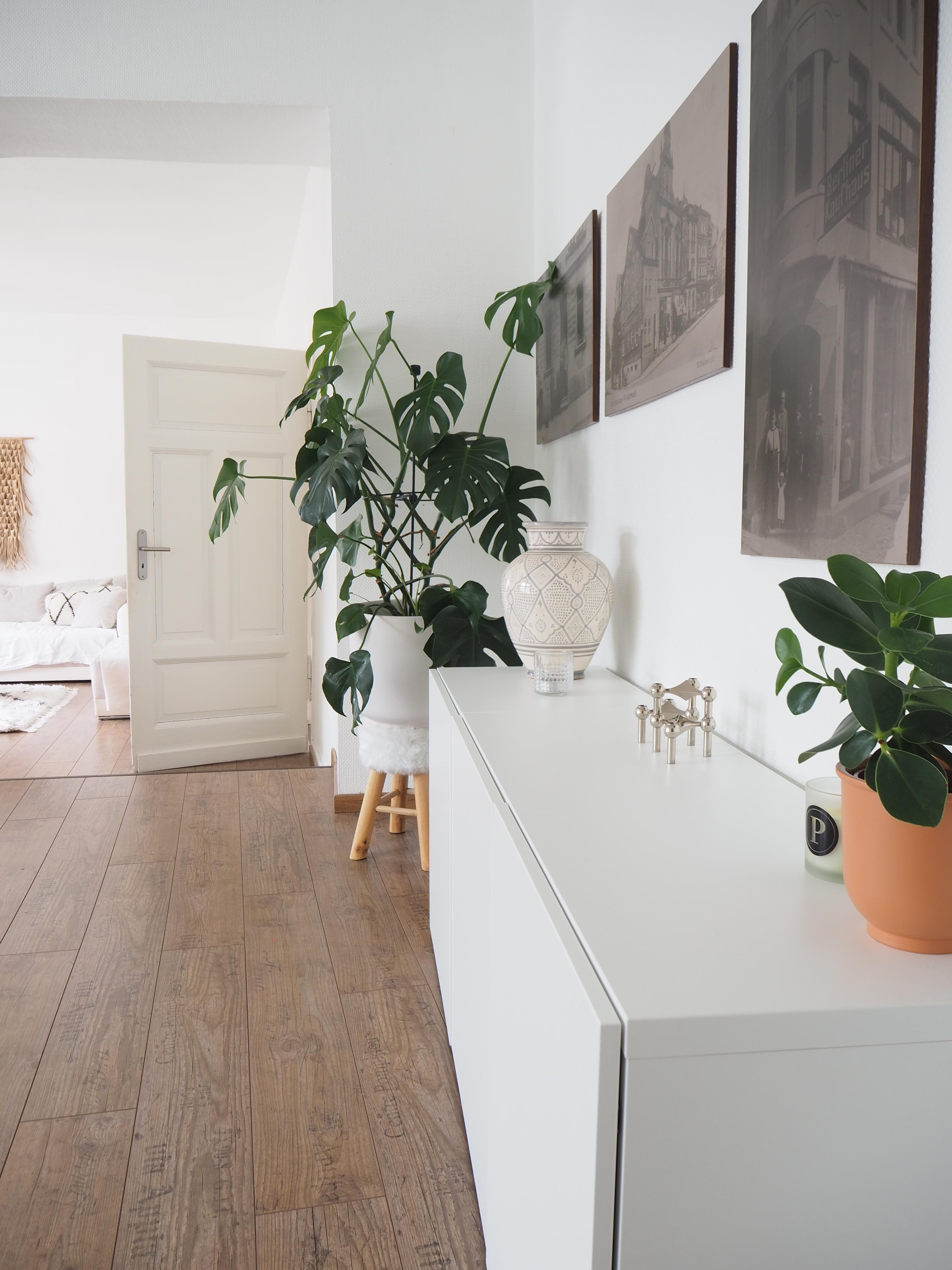 Weiß, Holz, Pflanzen - Meine zeitlose Wohlfühlkombi 🌝 #wohnzimmer #altbau #weiß #besta #pflanzenliebe