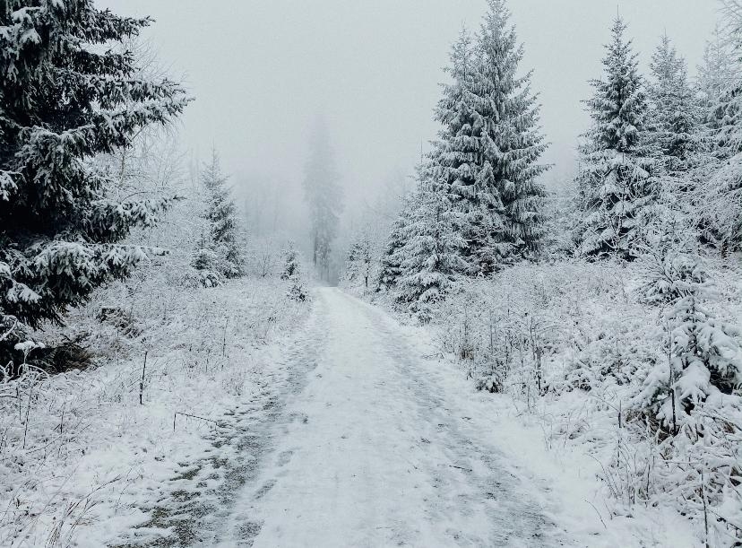 Weiße Weihnacht 🎄❄️
#winterwonderland #whitechristmas #heimatliebe