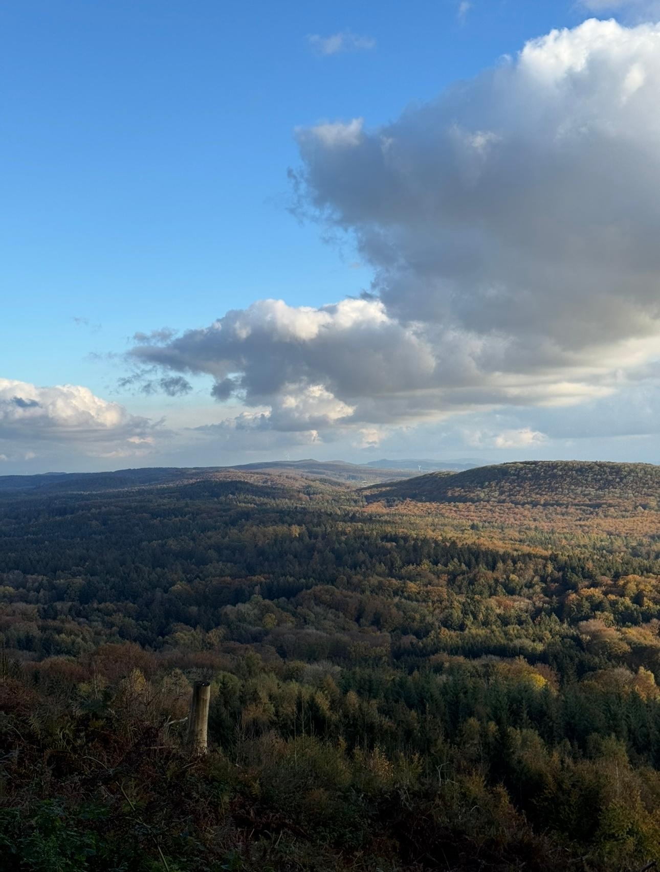 #Weitblick #Durchatmen #Metime #Waldbaden #Indiansummer