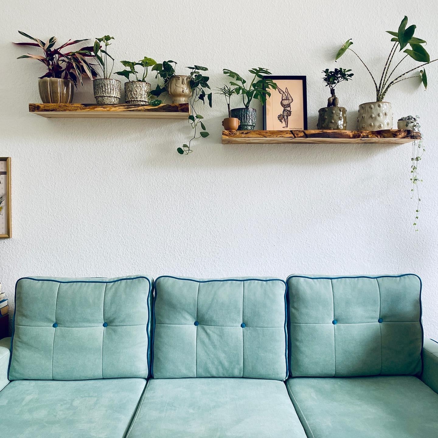 Welcome Jungle 
#wohnzimmer #livingchallenge #couchstyle #Plants #liebs