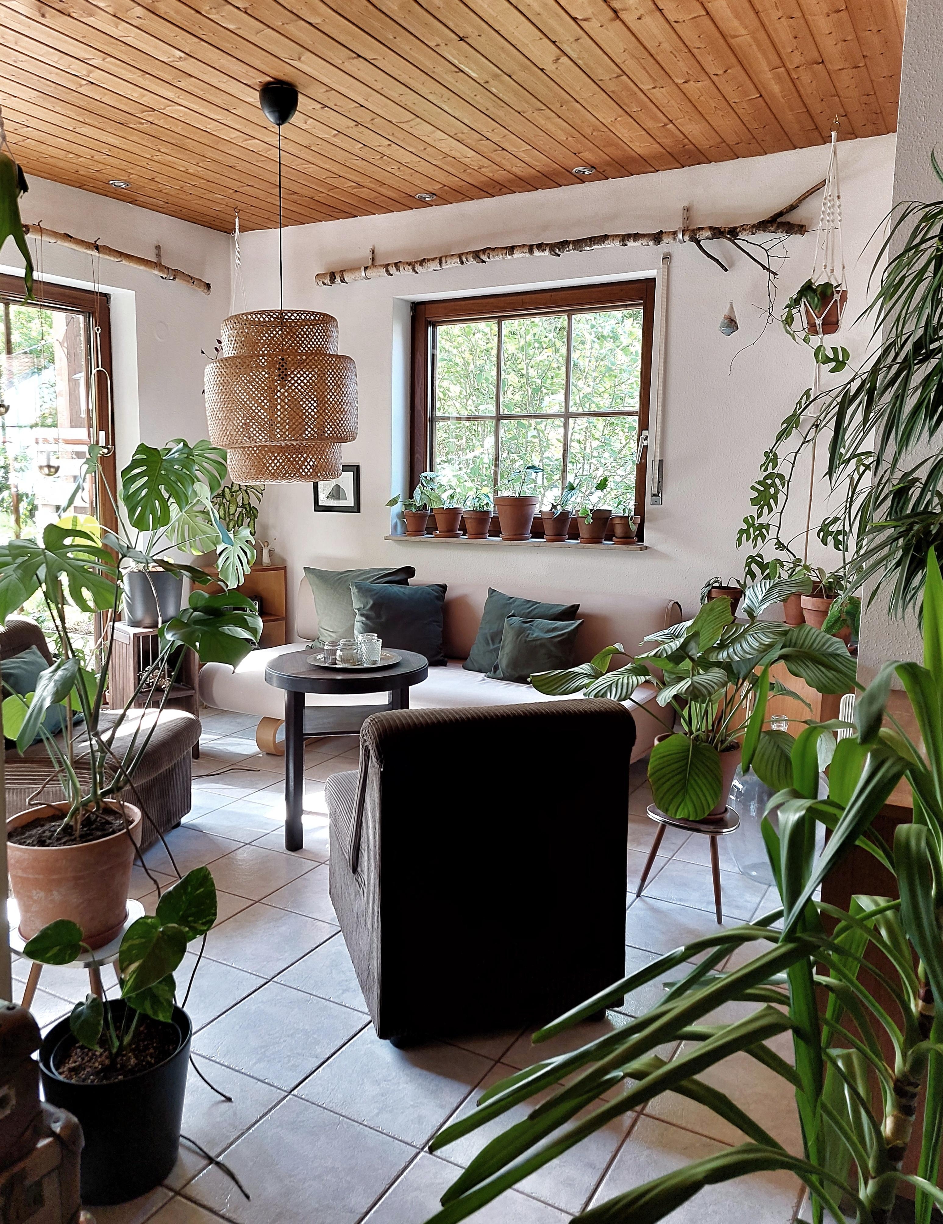 Livingchallenge Livingroom Urbanjungle Pflanzen Wohnung