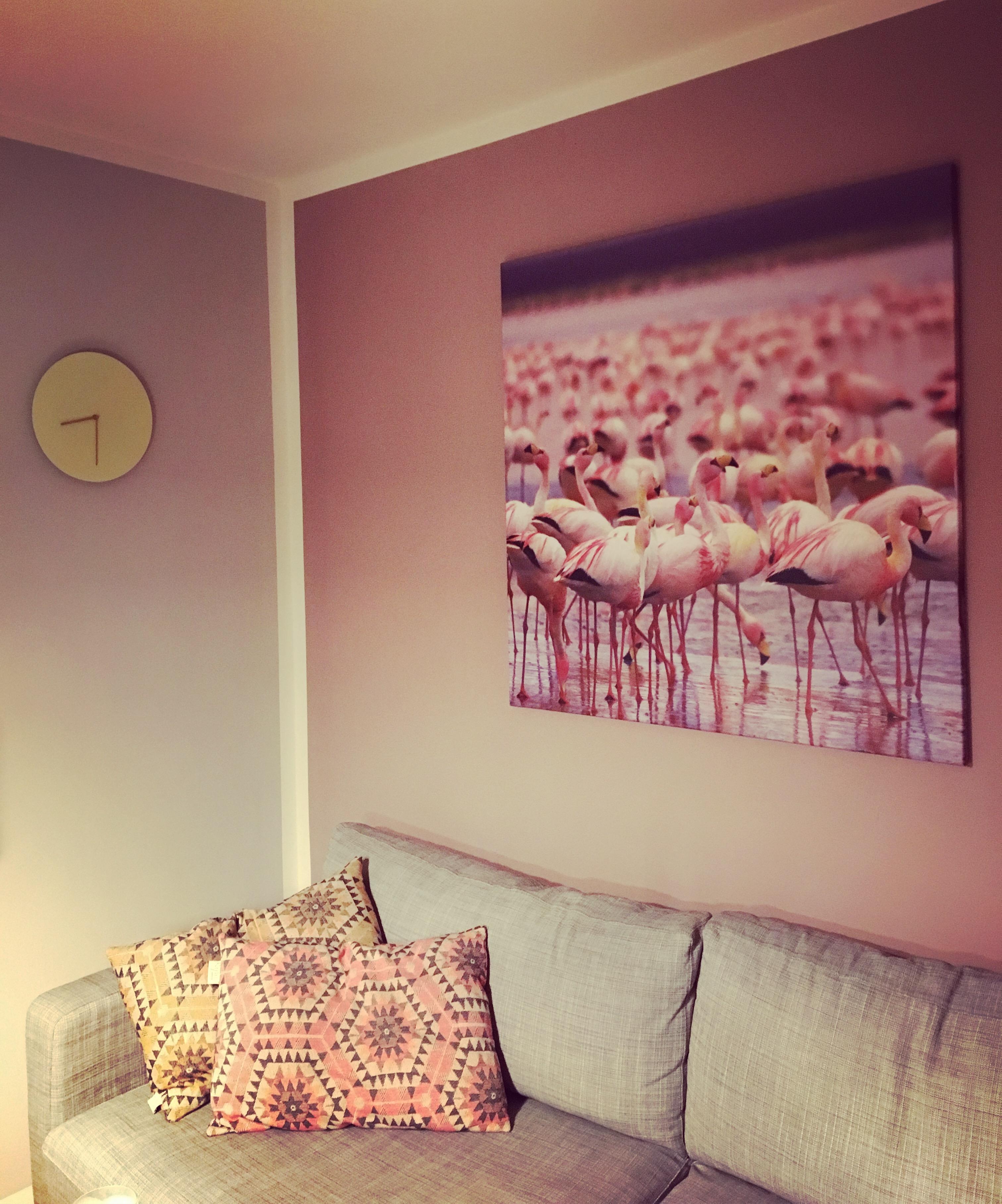 Wenn sich die Wandfarbe dem Lieblingsfoto anpassen muss. #flamingoliebe #wandgestaltung #livingchallenge 