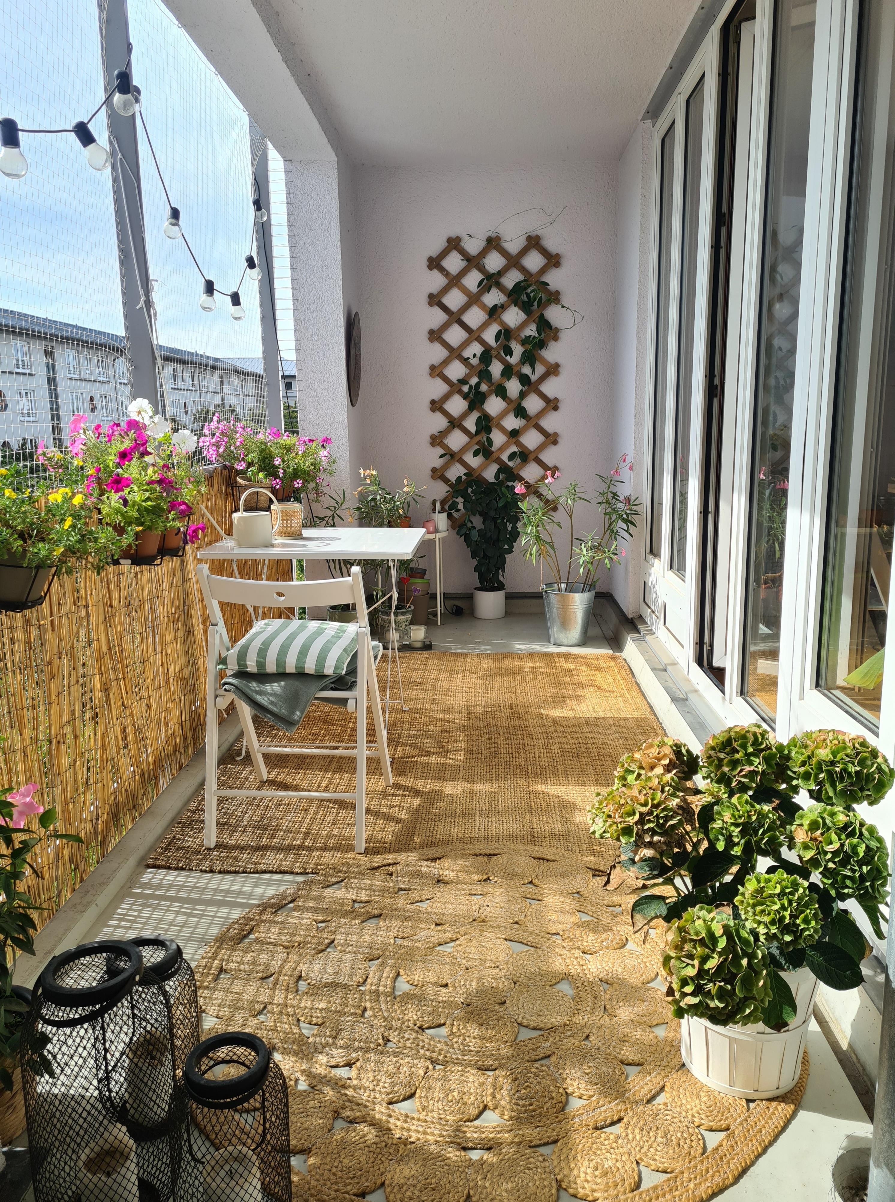 Wieso ist mein Balkon immer dann am schönsten, wenn der Sommer fast vorbei ist? 🥲 #balkon #balkonpflanzen #outdoorteppich