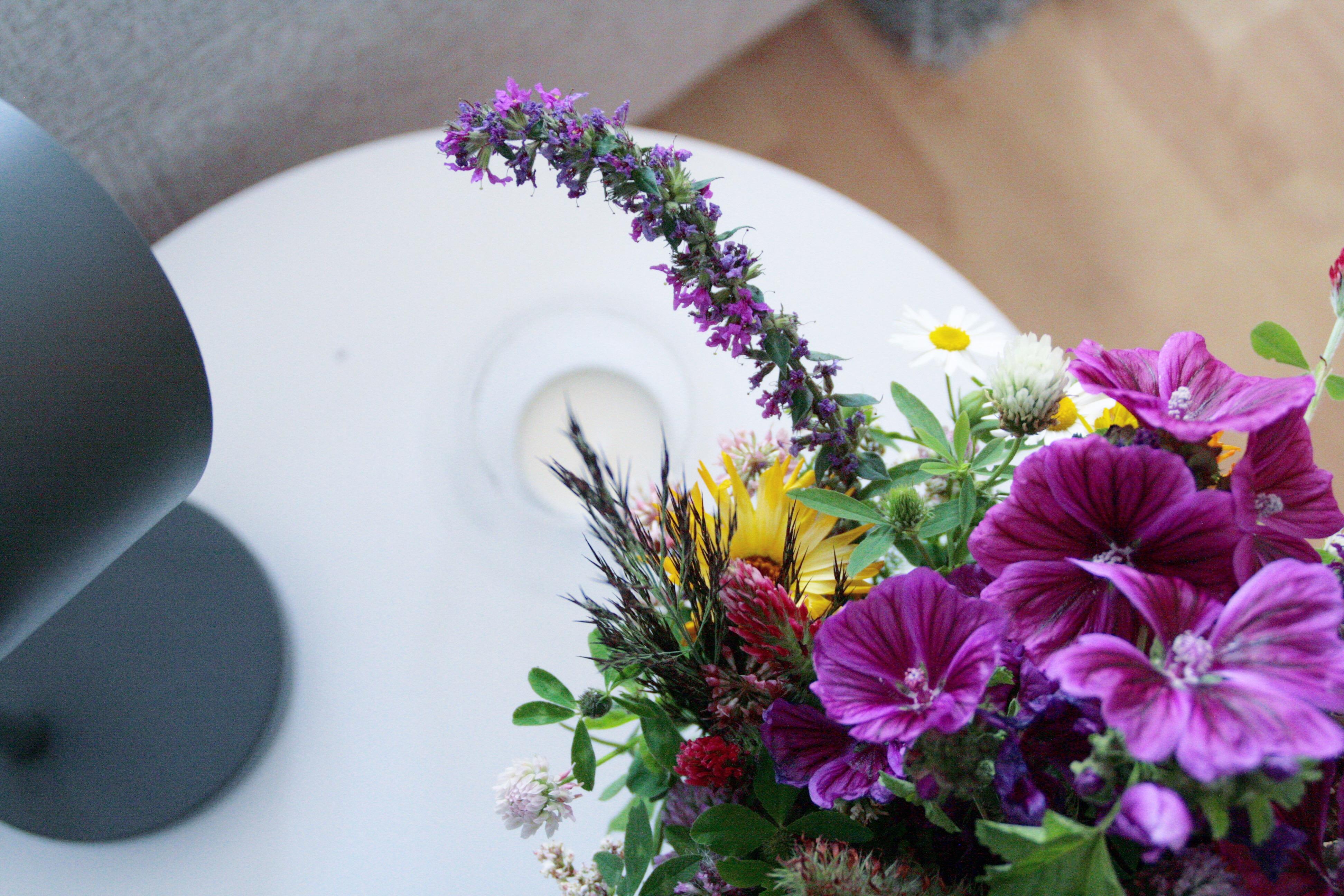 Wildblumen-Liebe! Was die Natur alles Schönes zu bieten hat ist doch unglaublich oder? #flowerpower #deko #blumen #natur