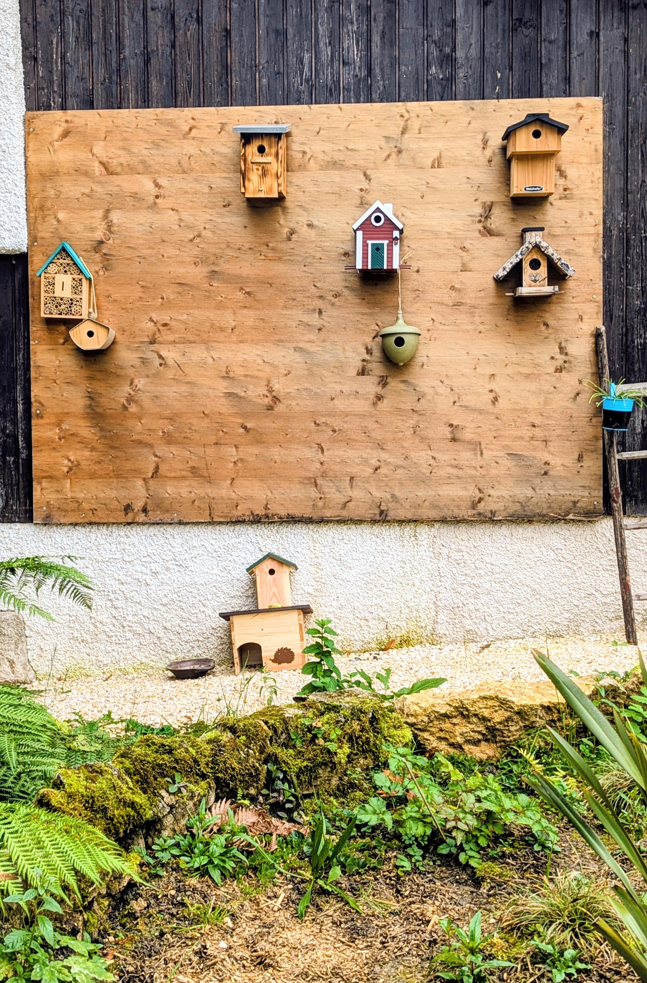 Wildlife resort, work in progress 
#livingchallenge #diy