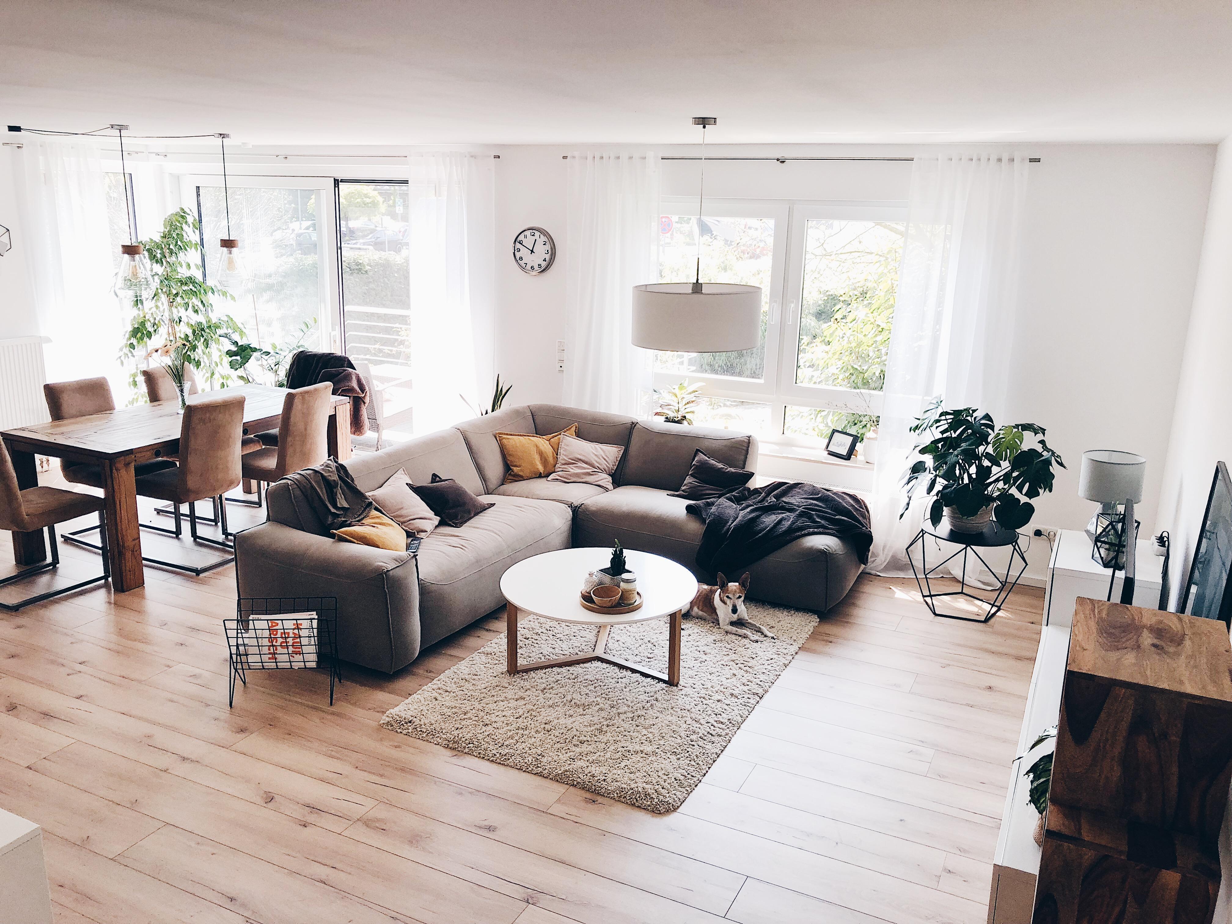 Willkommen in unserem #zuhause 🙌 #interior #interiordesign #wohnzimmer #homeandliving #urban #couch 