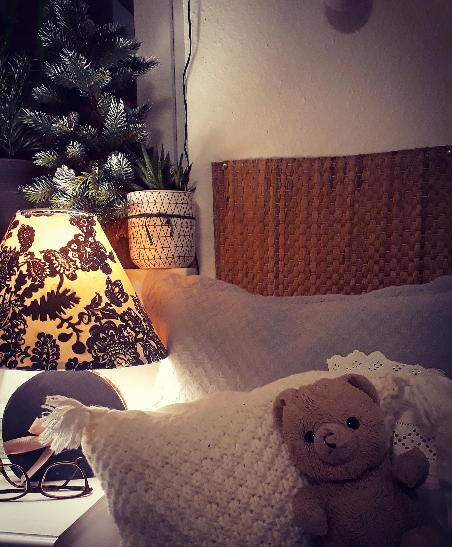 Winter coziness for Christmas dreams ☆