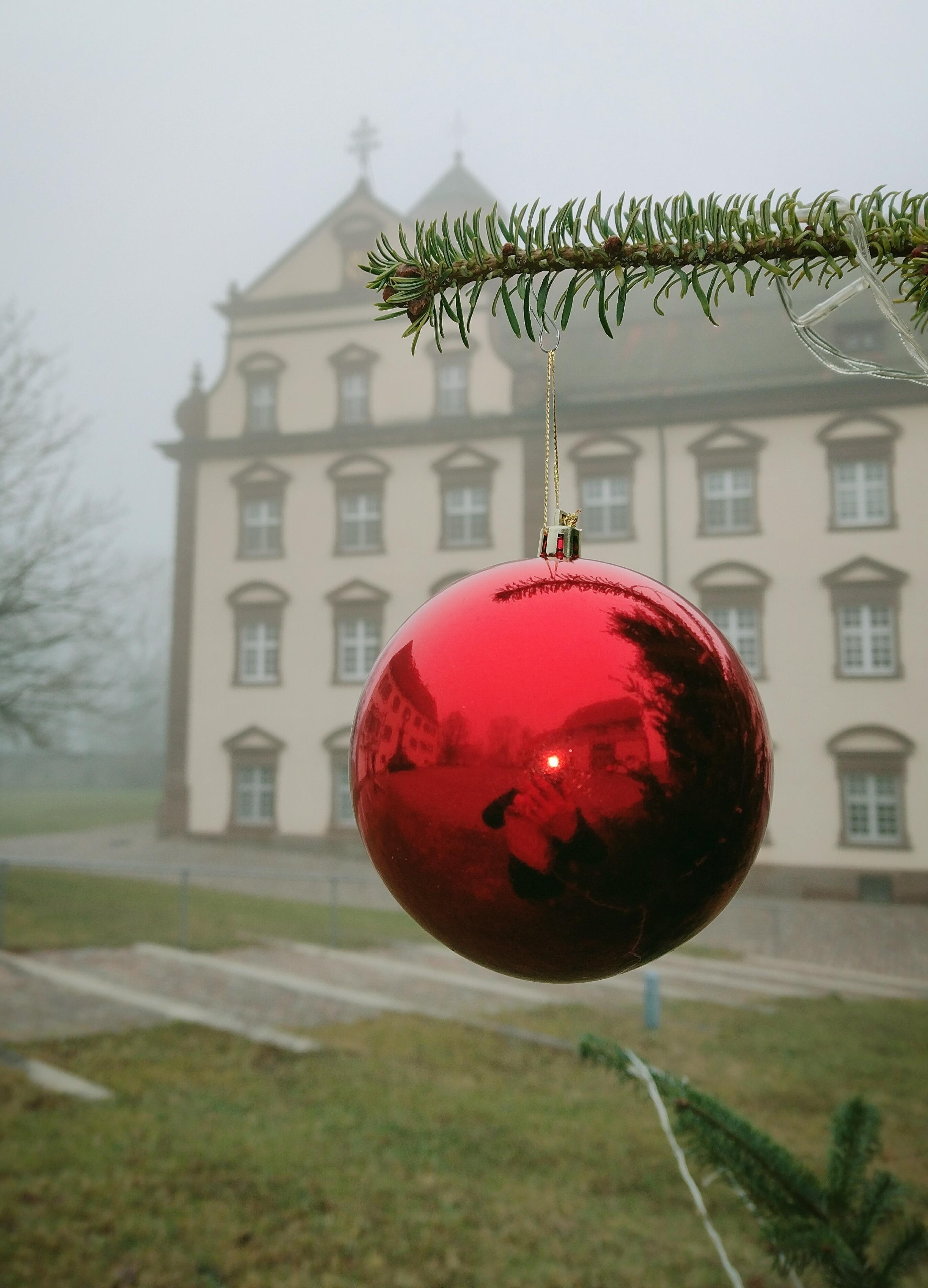 #winter #klosterkirchberg #sulzamneckar #weihnachten #weihnachtsbaum #nebel