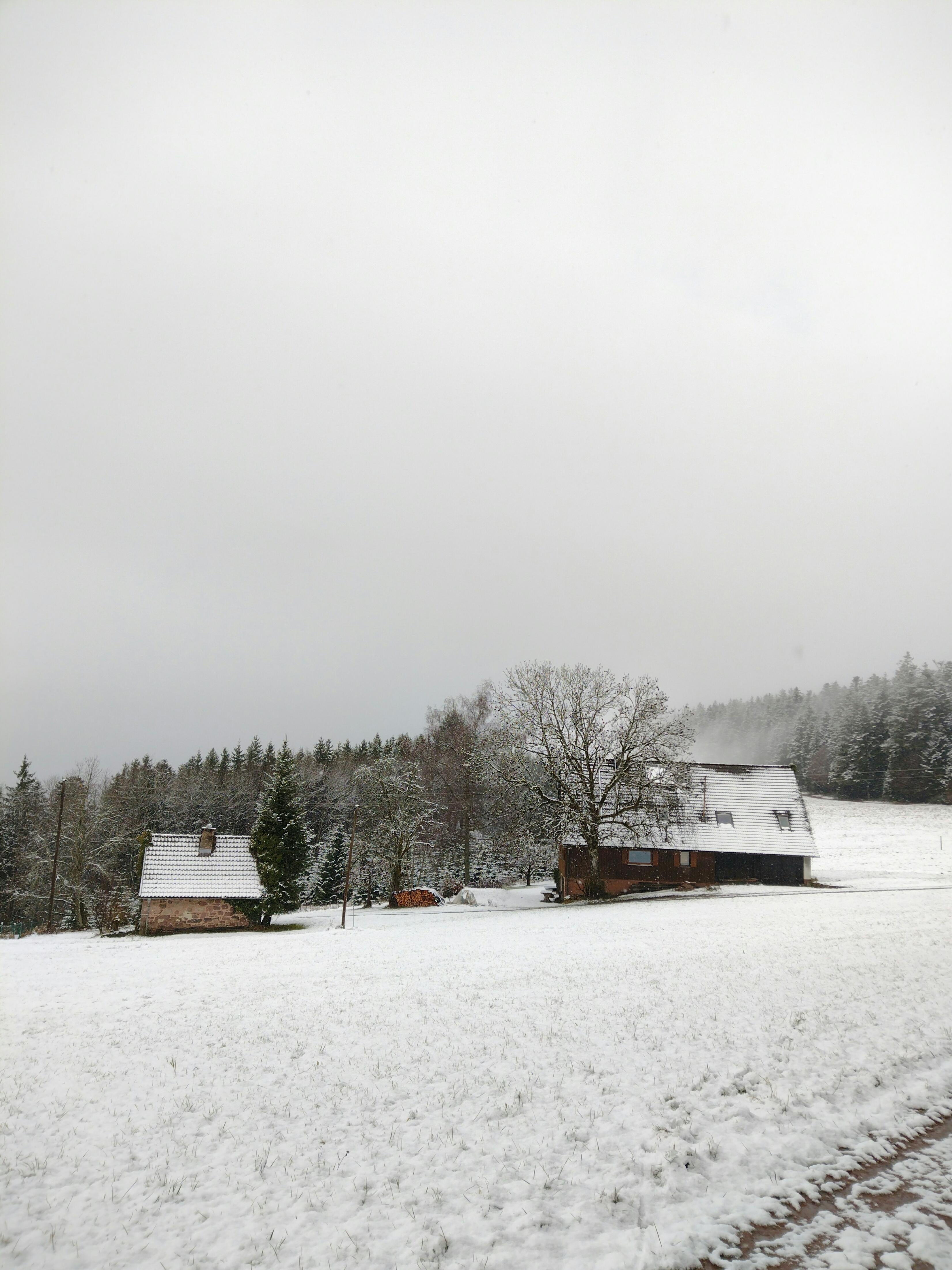 #winter #schnee #schneefall #weiss #schwarzwald