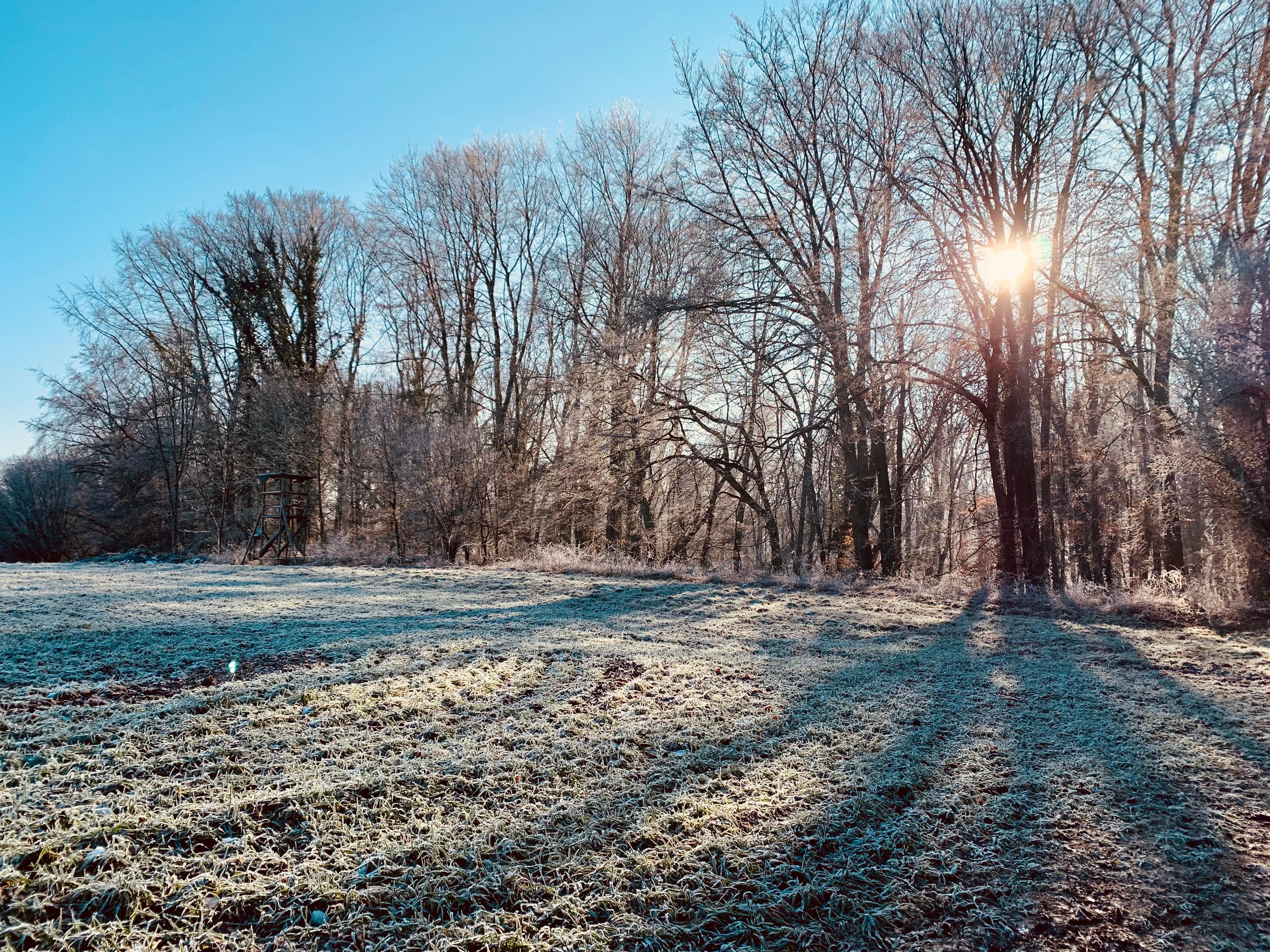 #winter #wald #wanderlust