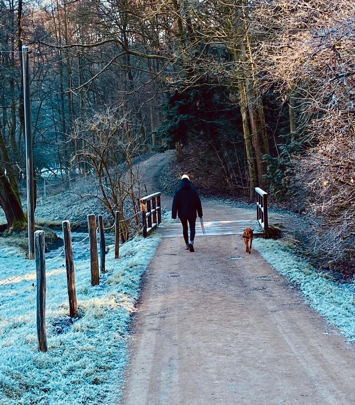 Winterliebe ❄️
#wald #natur #hund #winter #sonne 
#spaziergang #momente