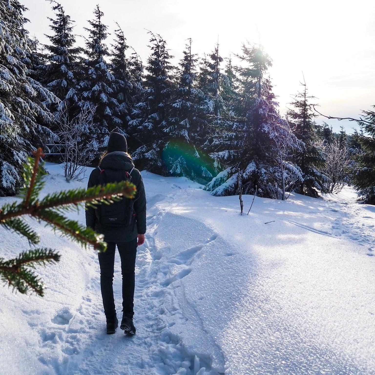 Winterwanderung durch den Harz ❄️🌲 #schnee #winter #kurzurlaub #travel #winteroutfit #winterwonderland