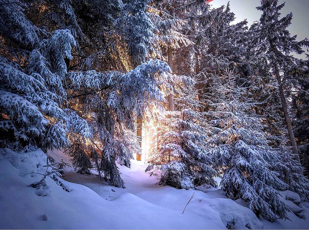 Winterwonderland
#Snow 
#Schnee 
#wunderschön
#naturliebe 