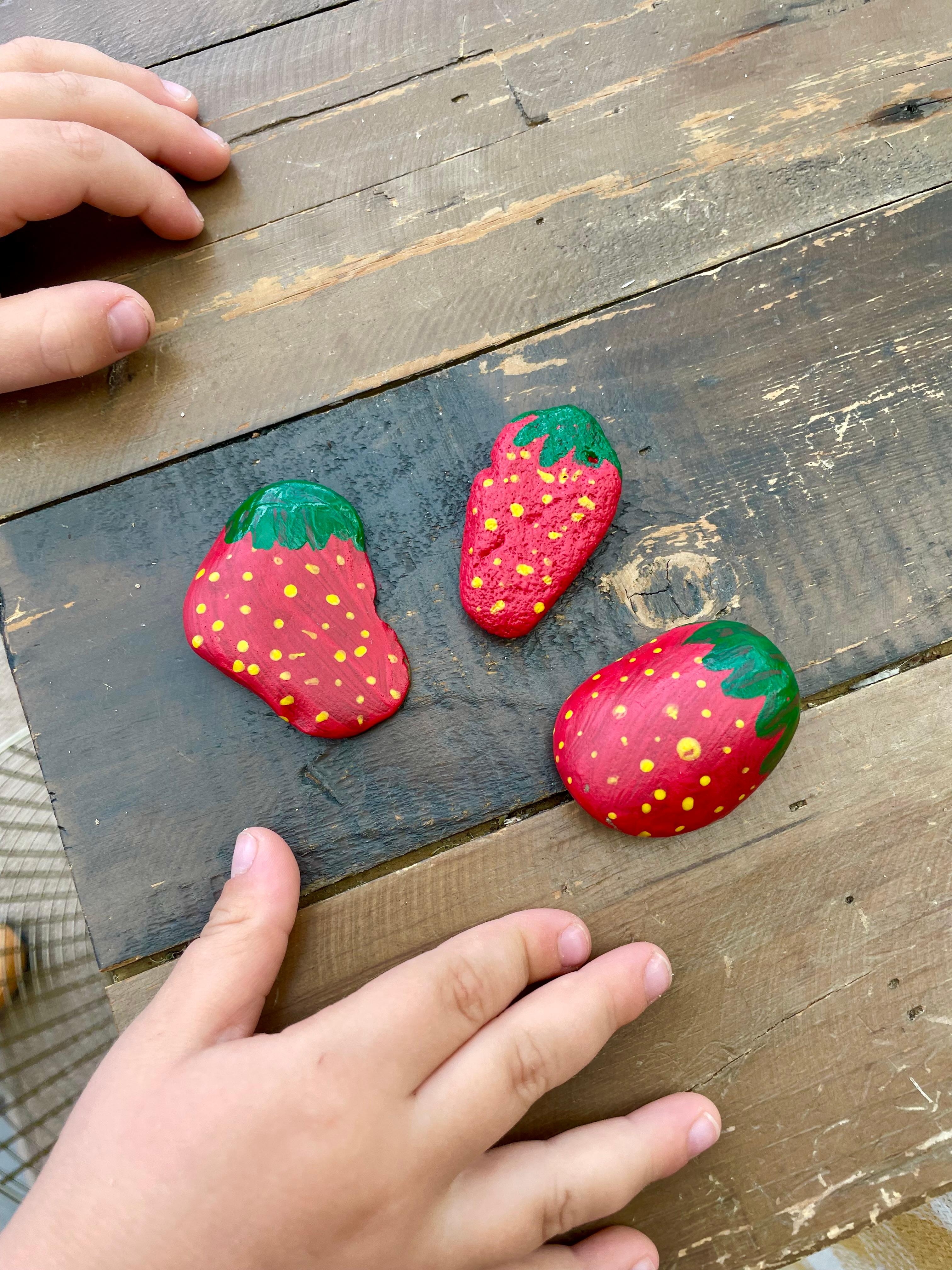 Wir haben heute #erdbeer #steine im Beet ausgelegt um die #elstern auszutricksen. Natürlich selbst #gemalt #diy #garten #couchliebt #rockart 🍓