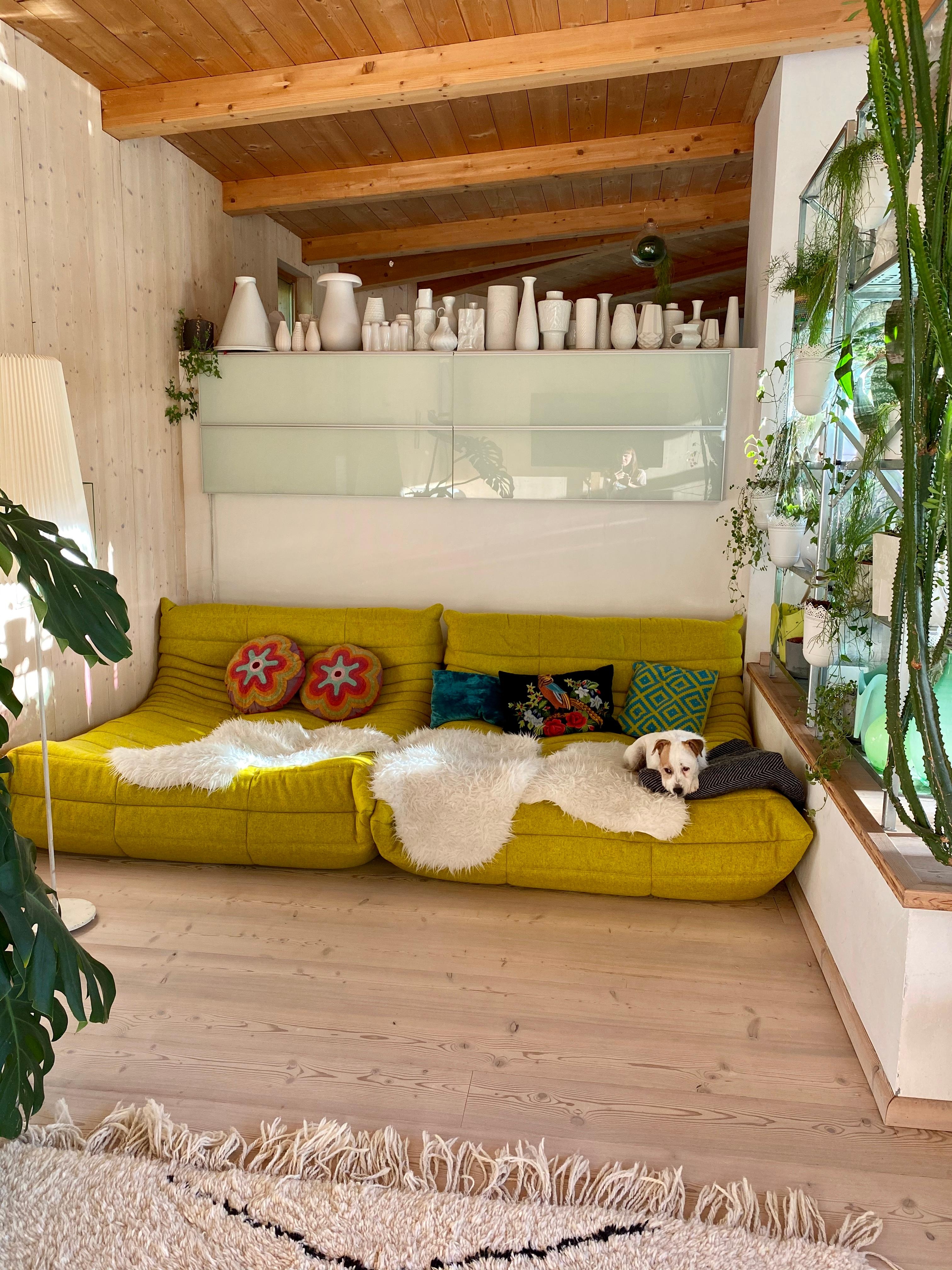 wir lieben 💚 unsere grüne kuschelecke mit den #togo sofas im #wohnzimmer #loftstyle #planzen #pflanzenliebe 
